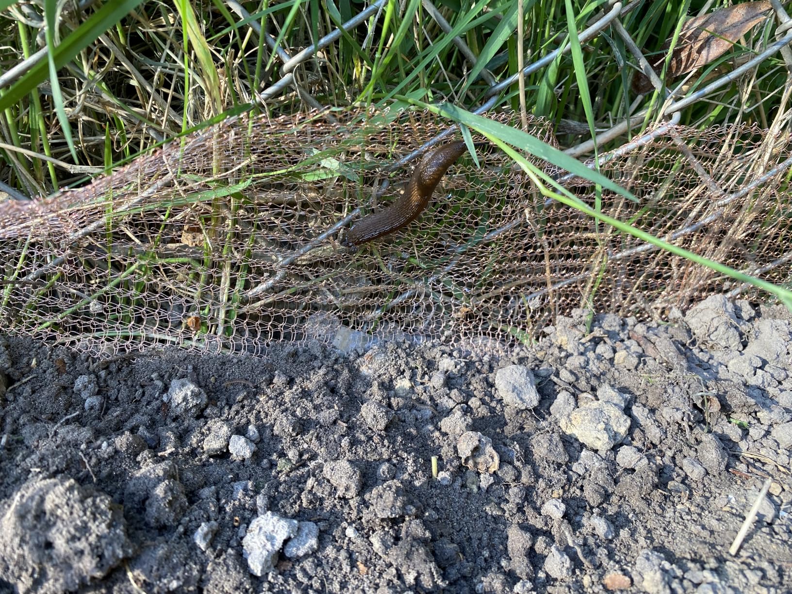 Kupferband Gegen Schnecken Schneckenzaun 127mm*12m