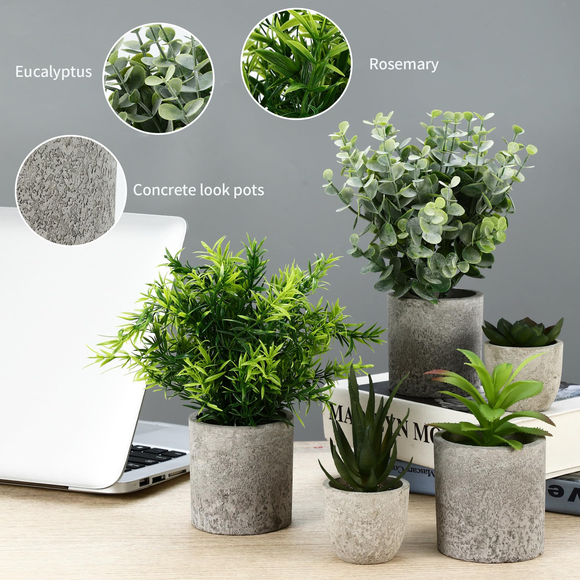 ZHYLUO 5 Pezzi Piante Artificiali, Mini Piante finte Serpentine, Agave Succulente, Aloe Artiglio d'Aquila per Camera da Letto Ufficio Decorazione
