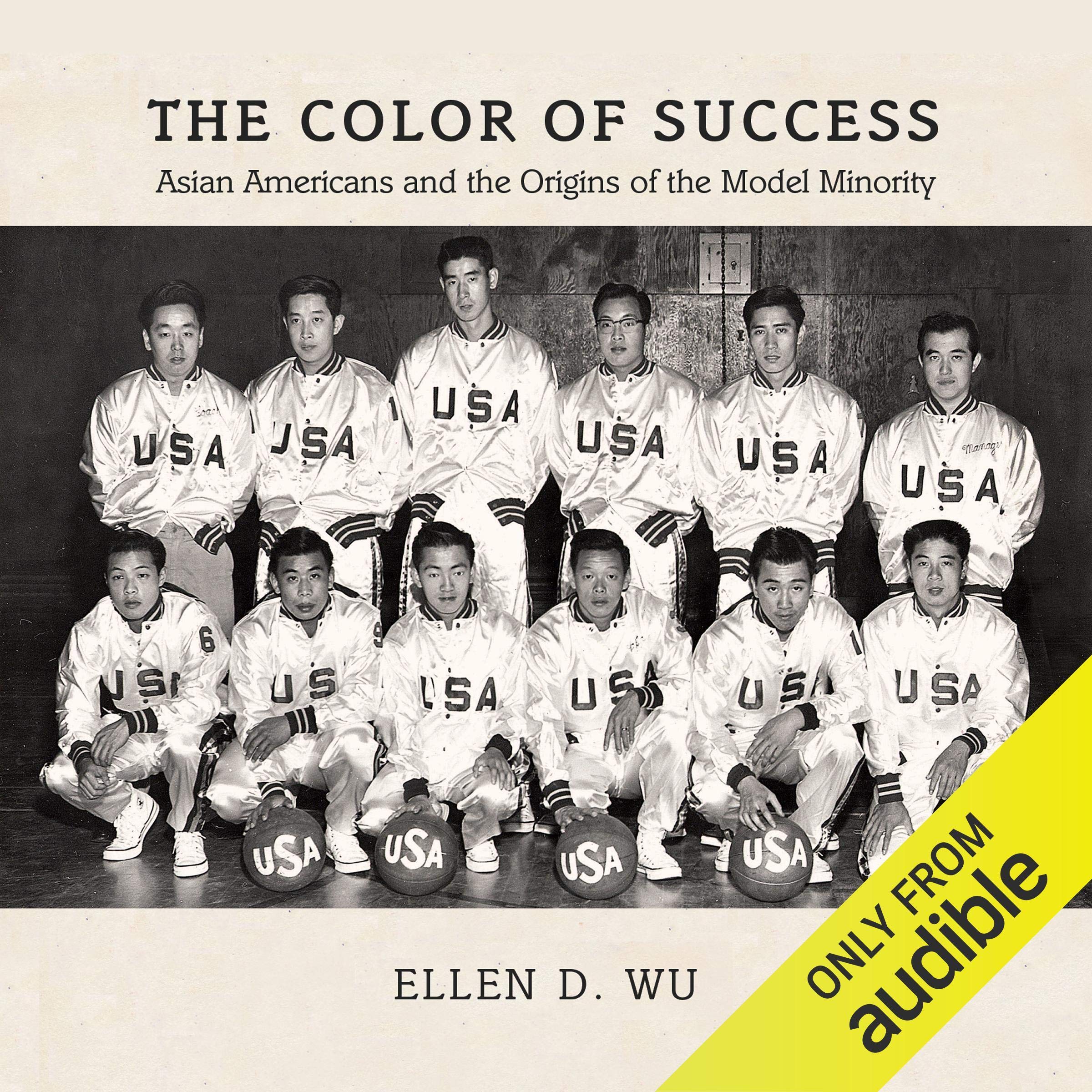 Cover art for The Color of Success