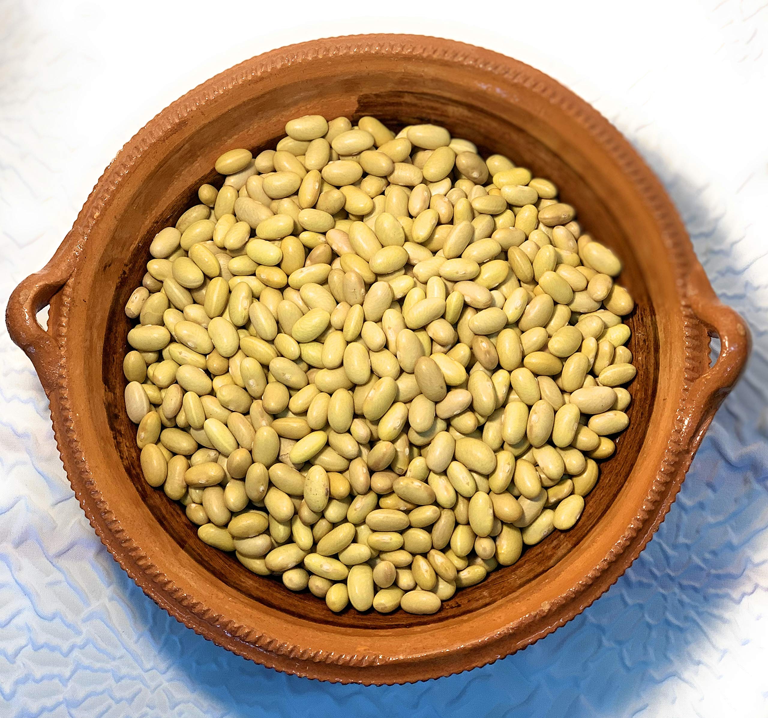 Canary Beans, Peruvian Beans Aka Mayocoba Beans, Peruano Beans100