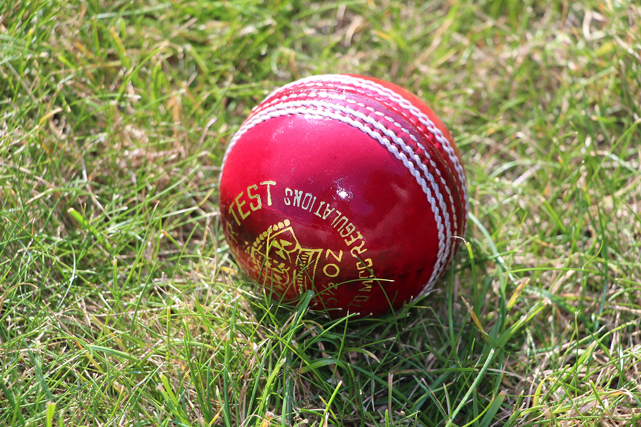 Cricket-Bälle, hochwertig, für Erwachsene, 6 Stück