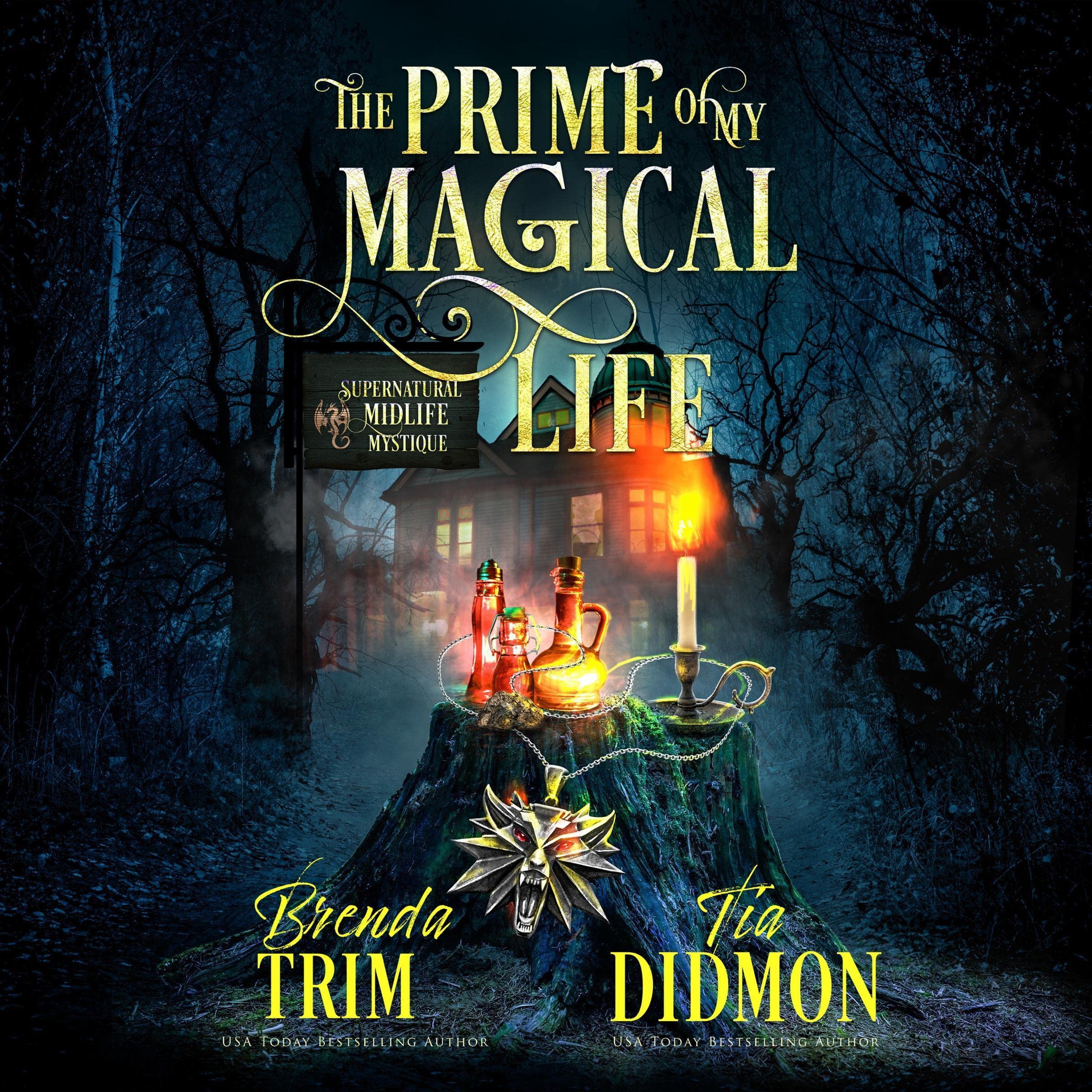 Cover art for The Prime of My Magical Life