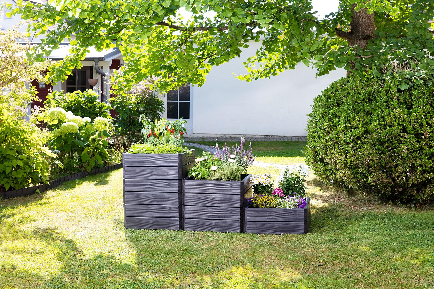 carre potager ergo quadro s set de base de 4 parois