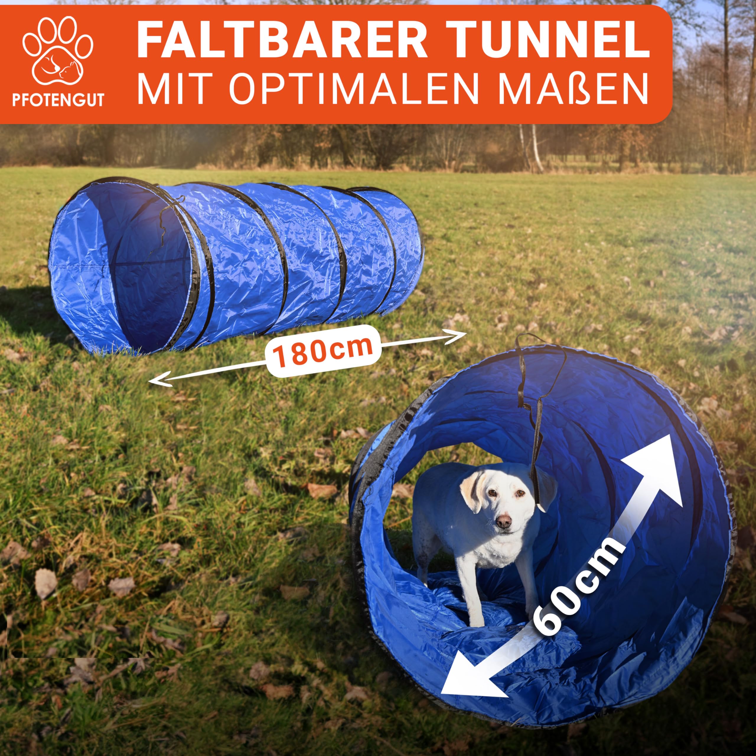 Agility Kit pour chien [11 pièces] – Kit de haies polyvalentes avec tunnel pour chien, slalom, etc. Pour l'entraînement et le sport canin – Avec accessoires et sac de transport