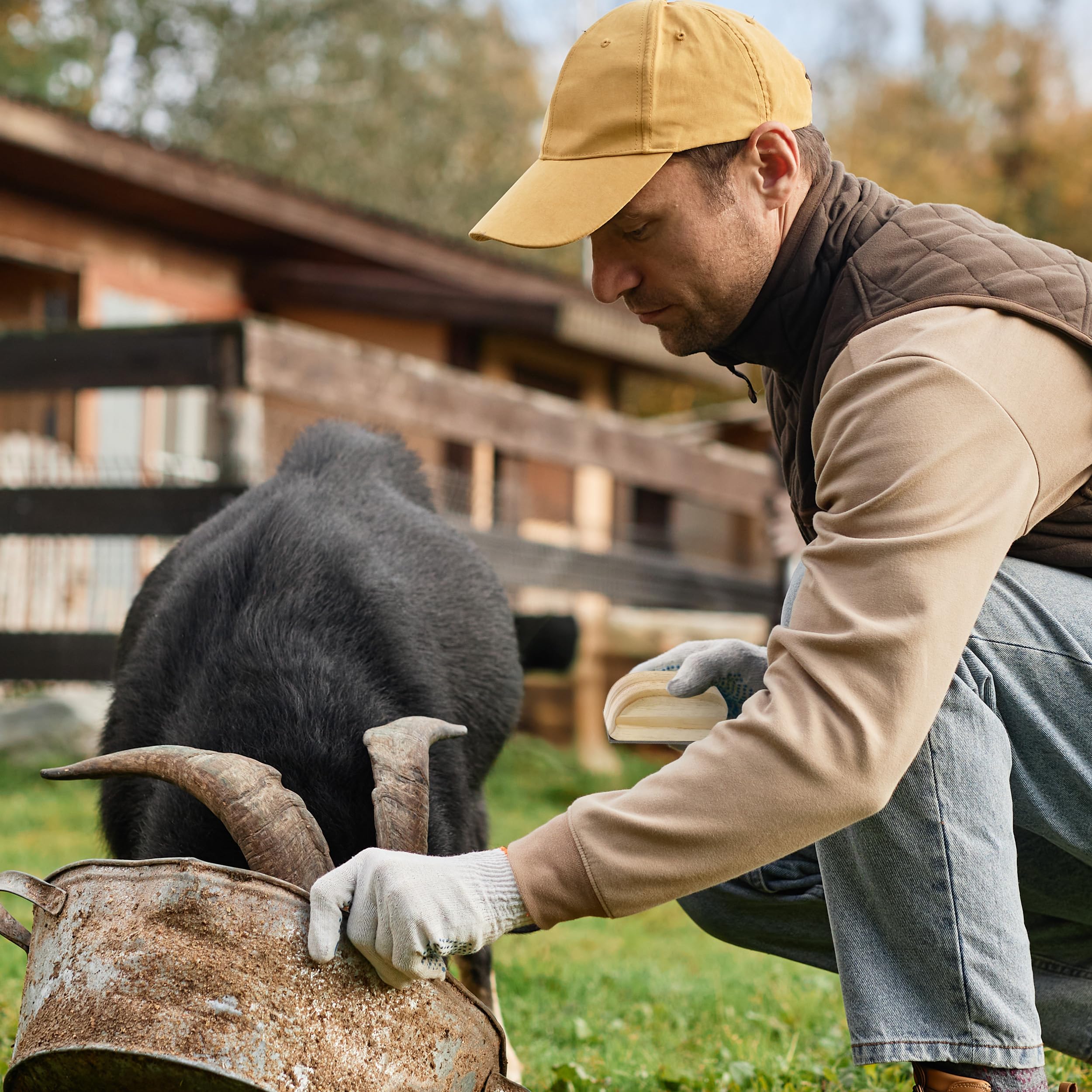 Rural365 Tarnik z drewnianym uchwytem, mini pilnik do kopyt – artykuły dla miniaturowych koni, świń, kóz