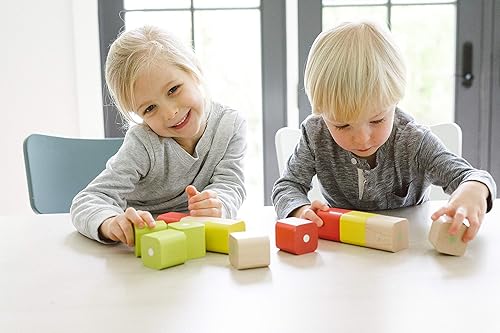 Miniatura 9 de Tegu 15 piezas de bloques de construcción magnéticos del bebé, tintas