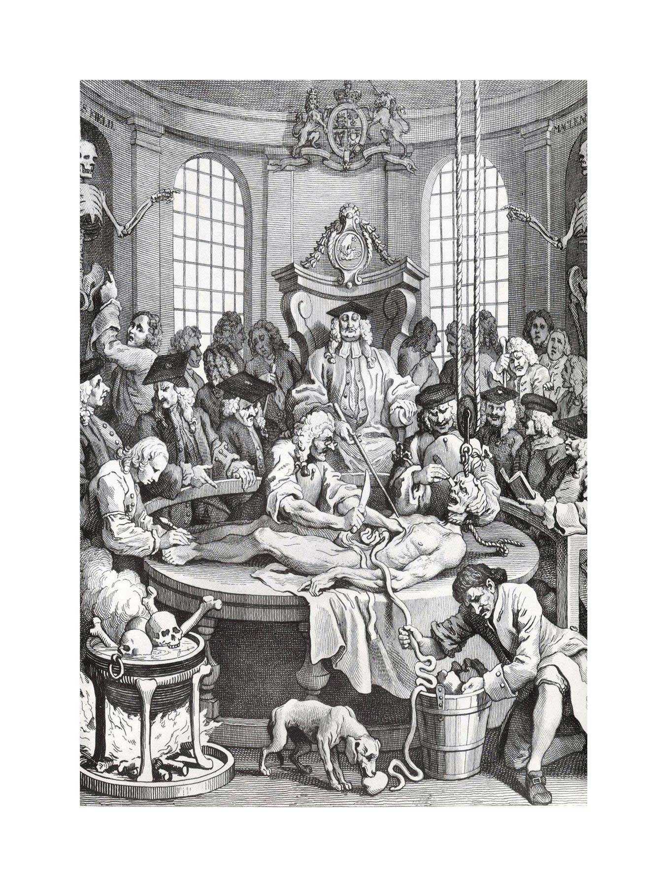Wee Blue Coo Painting Allegory Hogarth Reward Cruelty Wall Art Print
