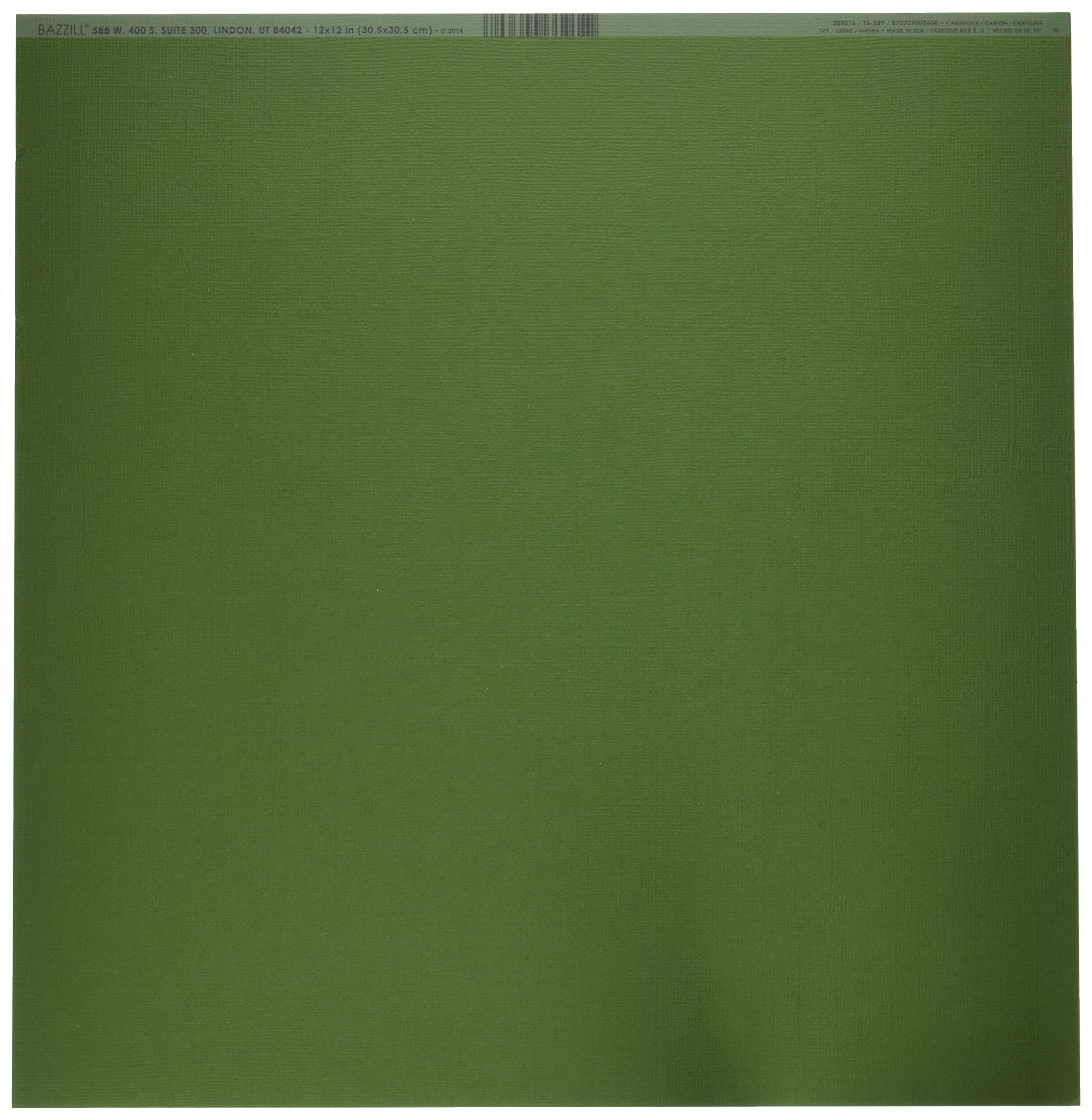 BazzillBasics Paper 25 ScrapBooking Sheets Canvas Texture, Ivy