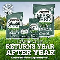 Vista 5 de Pennington Kentucky 31 Semilla de Césped Festuca Alta Penkoted 7 lb