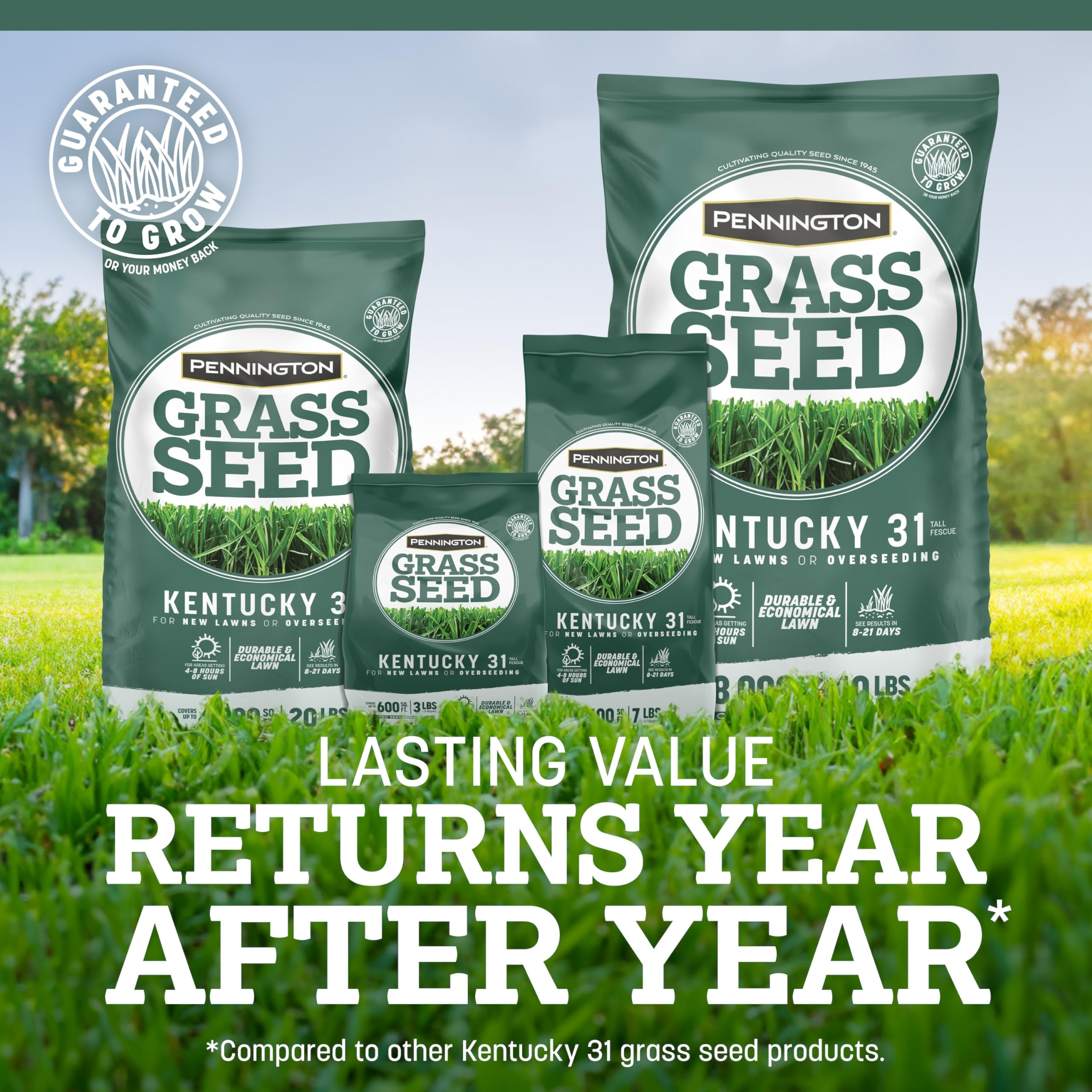 Pennington Kentucky 31 Tall Fescue Penkoted Grass Seed 7 lb