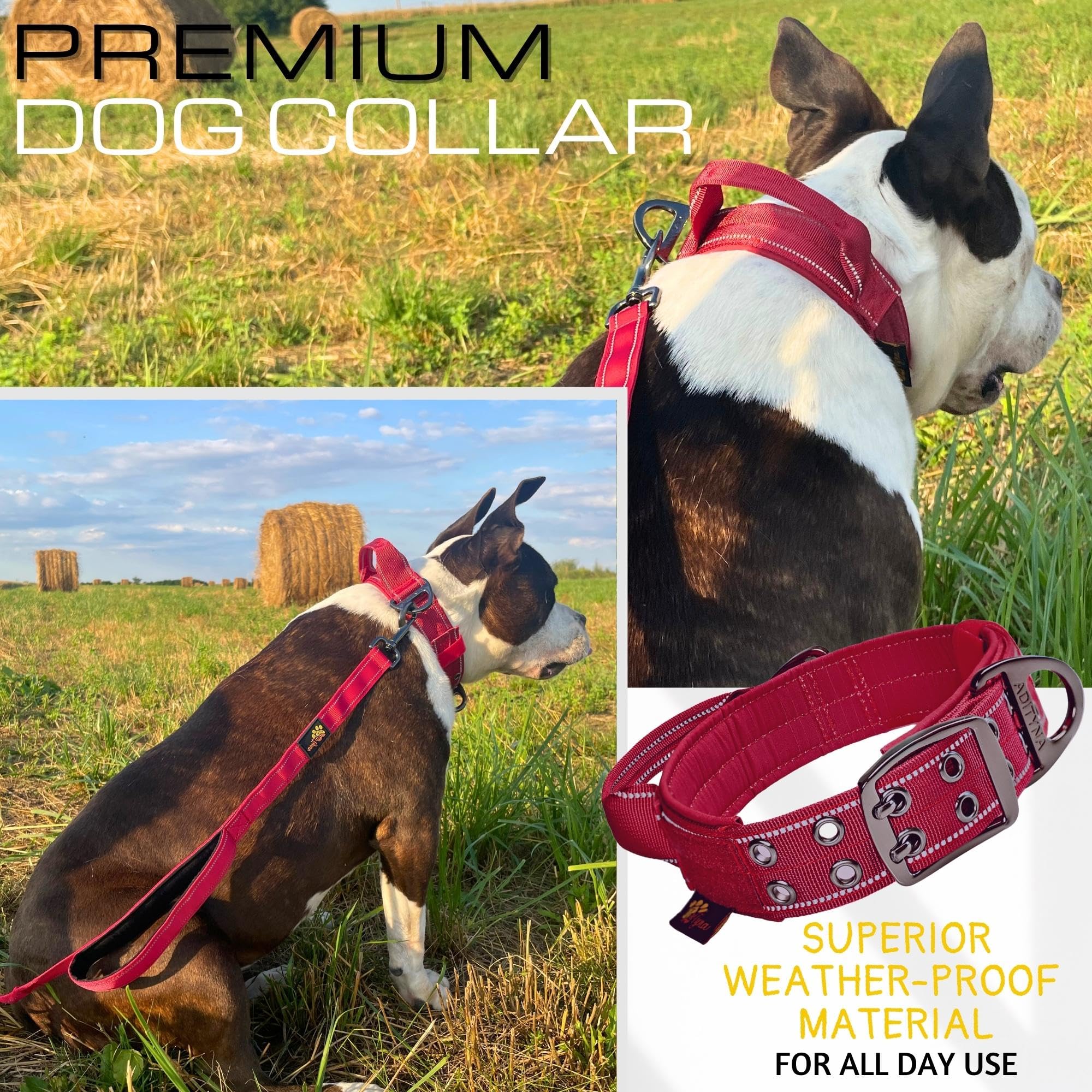ADITYNA - Collar de perro resistente con asa - Collar reflectante de color burdeos para perros grandes - Ancho, grueso, táctico, acolchado suave
