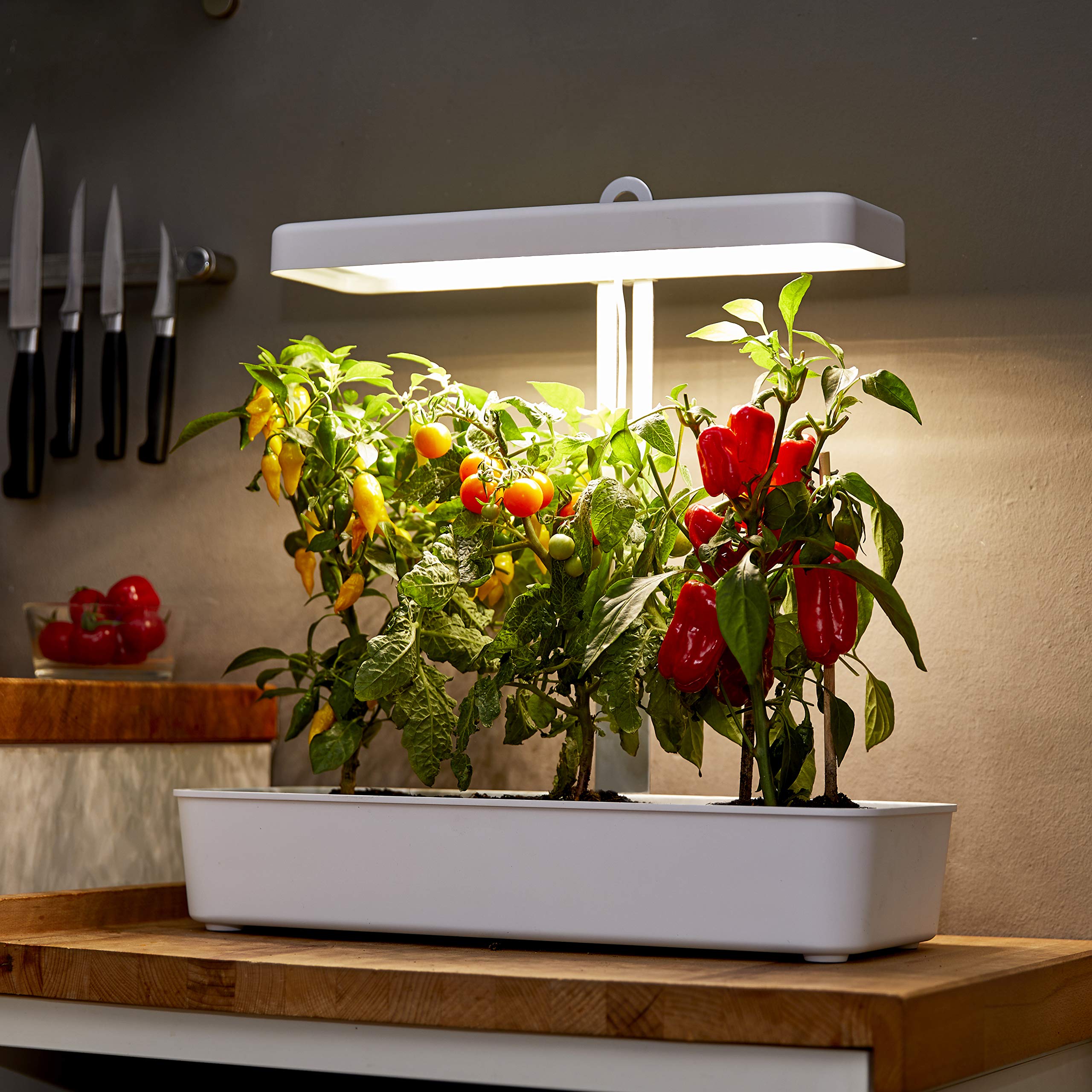 Northpoint Hydroponiczny system uprawy roślin LED lampa do roślin ogród ziołowy lampa do uprawy roślin 22 W, 1350 lumenów, 10 sadzonek, regulacja wysokości, timer