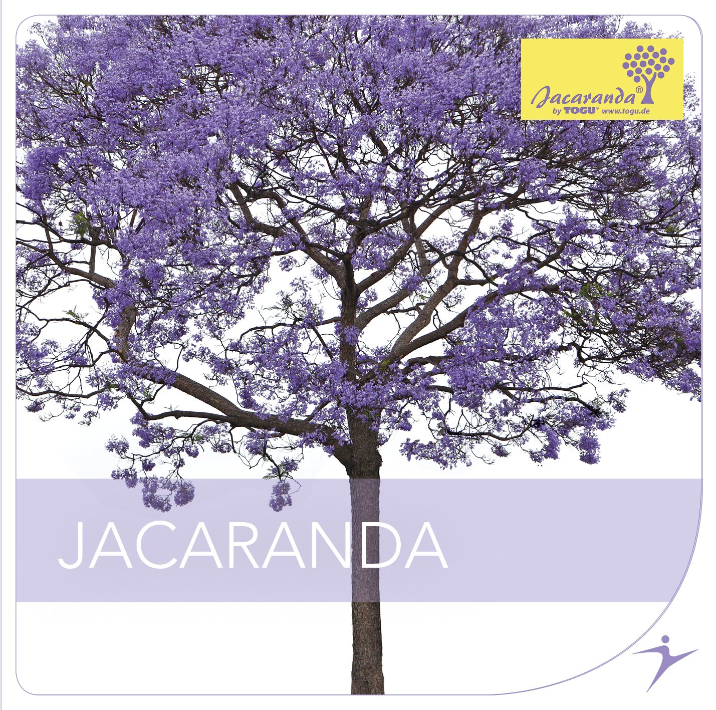 Togu Jacaranda Ball inkl. Jacaranda CD