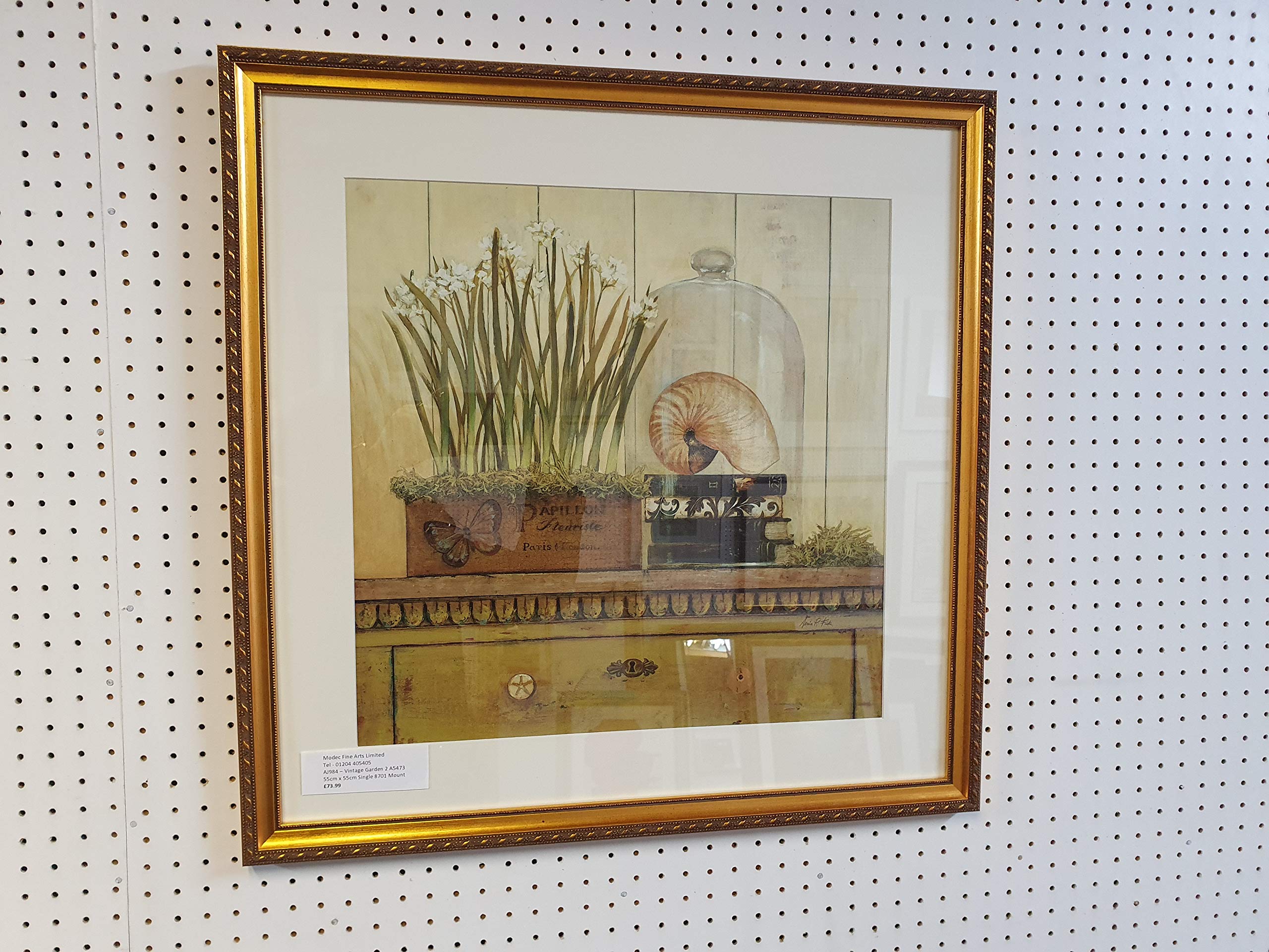 Modec Pictures New large traditional vintage garden print - Framed in an ornate gold frame with a single mount. 55cm x 55cm.