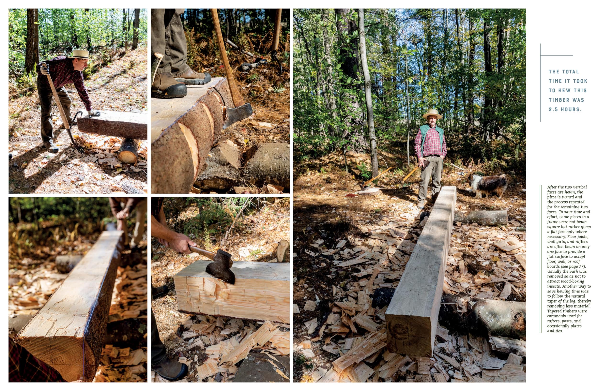 Hand Hewn: The Traditions, Tools, and Enduring Beauty of Timber Framing