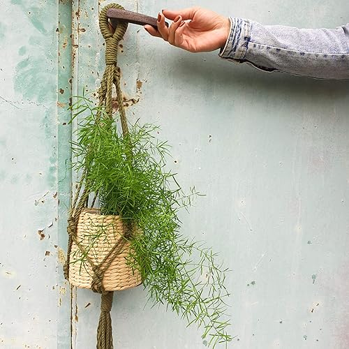 Miniatura 8 de Bobbiny Cordón de macramé regular de 0.118 in y 3 capas (aguamarina), 108yds330 pies (100% algodón reciclado)