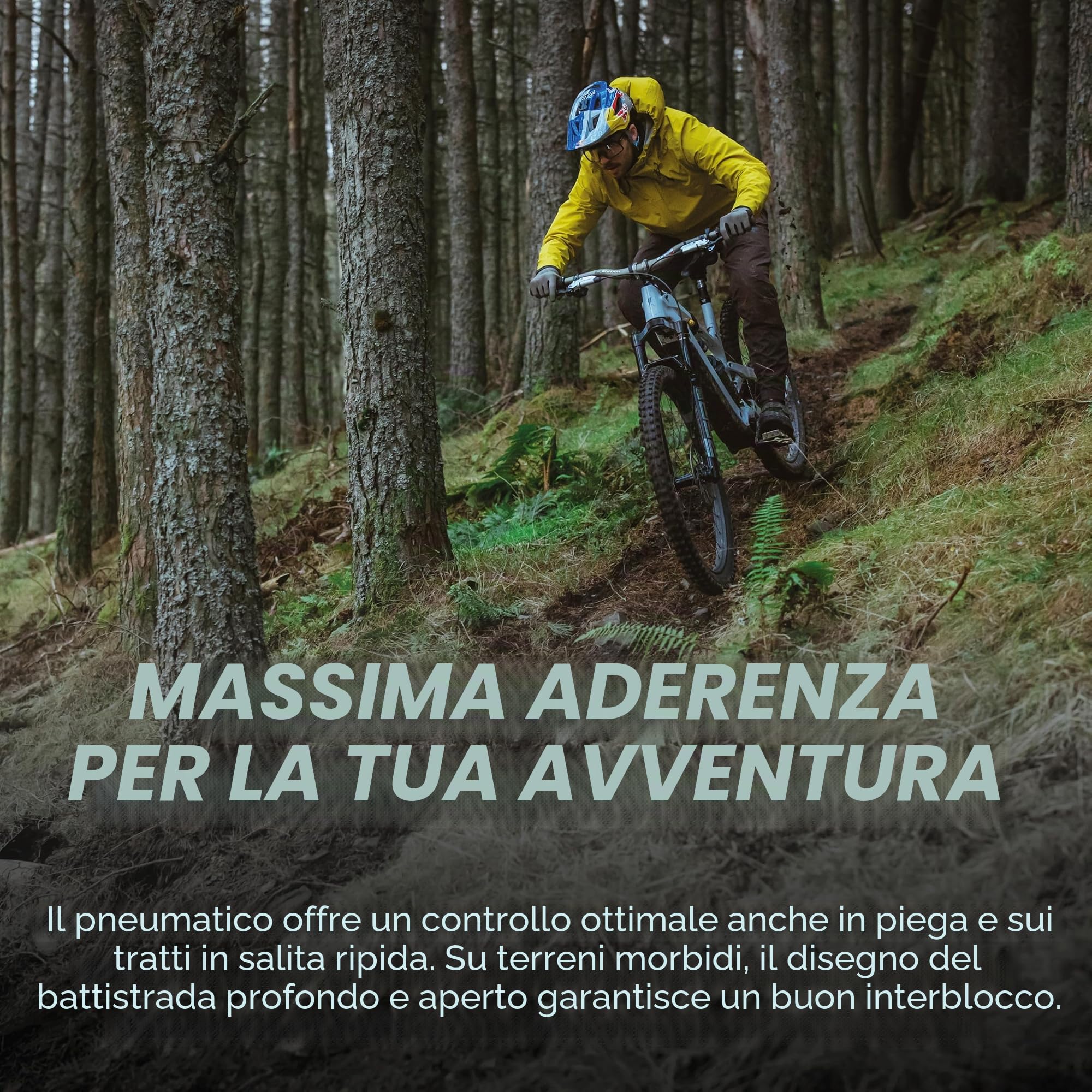 Schwalbe Shredda - Pneumatico posteriore pieghevole TLR
