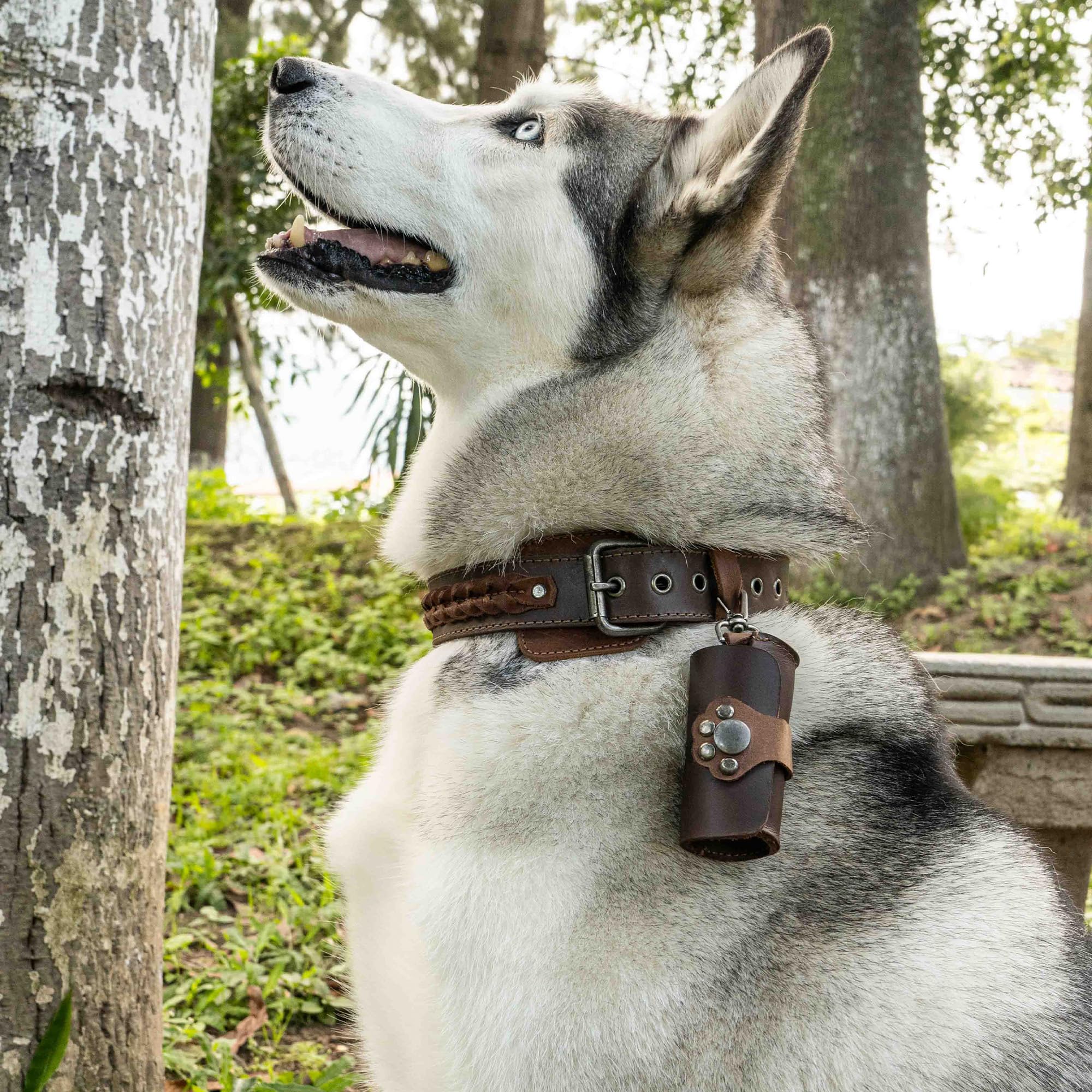 Taco Dog, Paw Poop Bag Tasche handgefertigt aus Vollnarbenleder – praktische Tragetasche, Clips an Leine, Spender, einfache Reinigung beim Gehen – ganz natürlich, leicht, Accessoire – Bourbon Brown