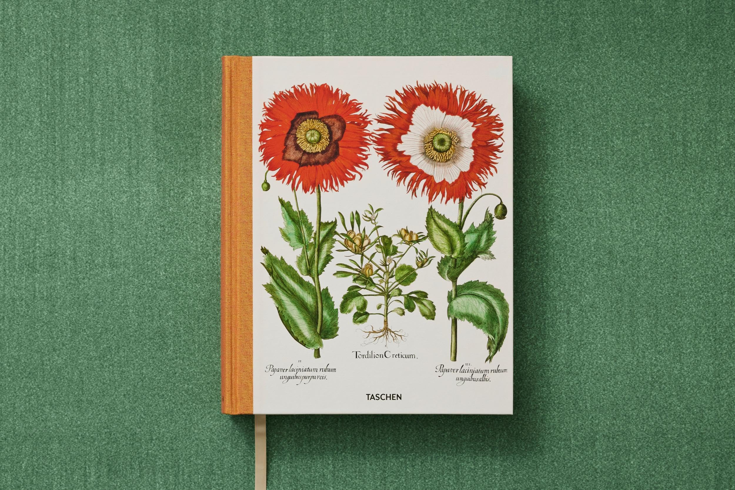 Basilius Besler: The Garden at Eichstätt: 1-3