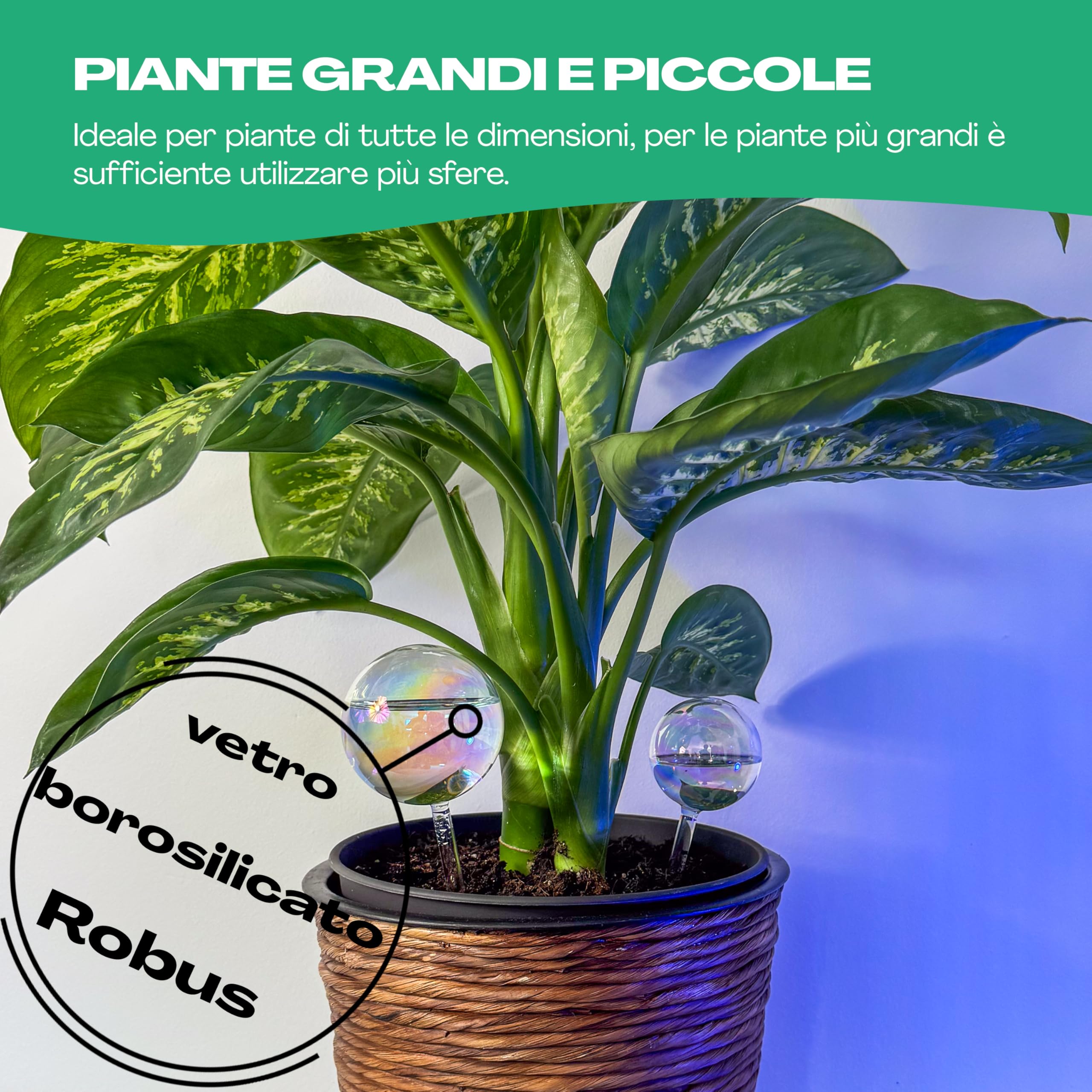 Netrox - 2 Boules d'arrosage en Verre - oyas, Irrigation Automatique pour  Plantes d'intrieur, Jardin, Fleurs & Balcon - idal en Vacances - arrosage  Automatique, Goutte Plante Exterieur ollas OYA : Amazon.fr: Jardin