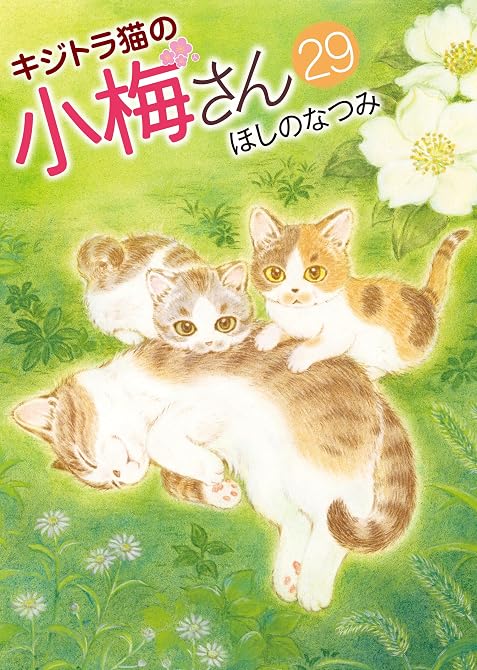 『キジトラ猫の小梅さん　29巻』の表紙イラスト 電子書籍 漫画