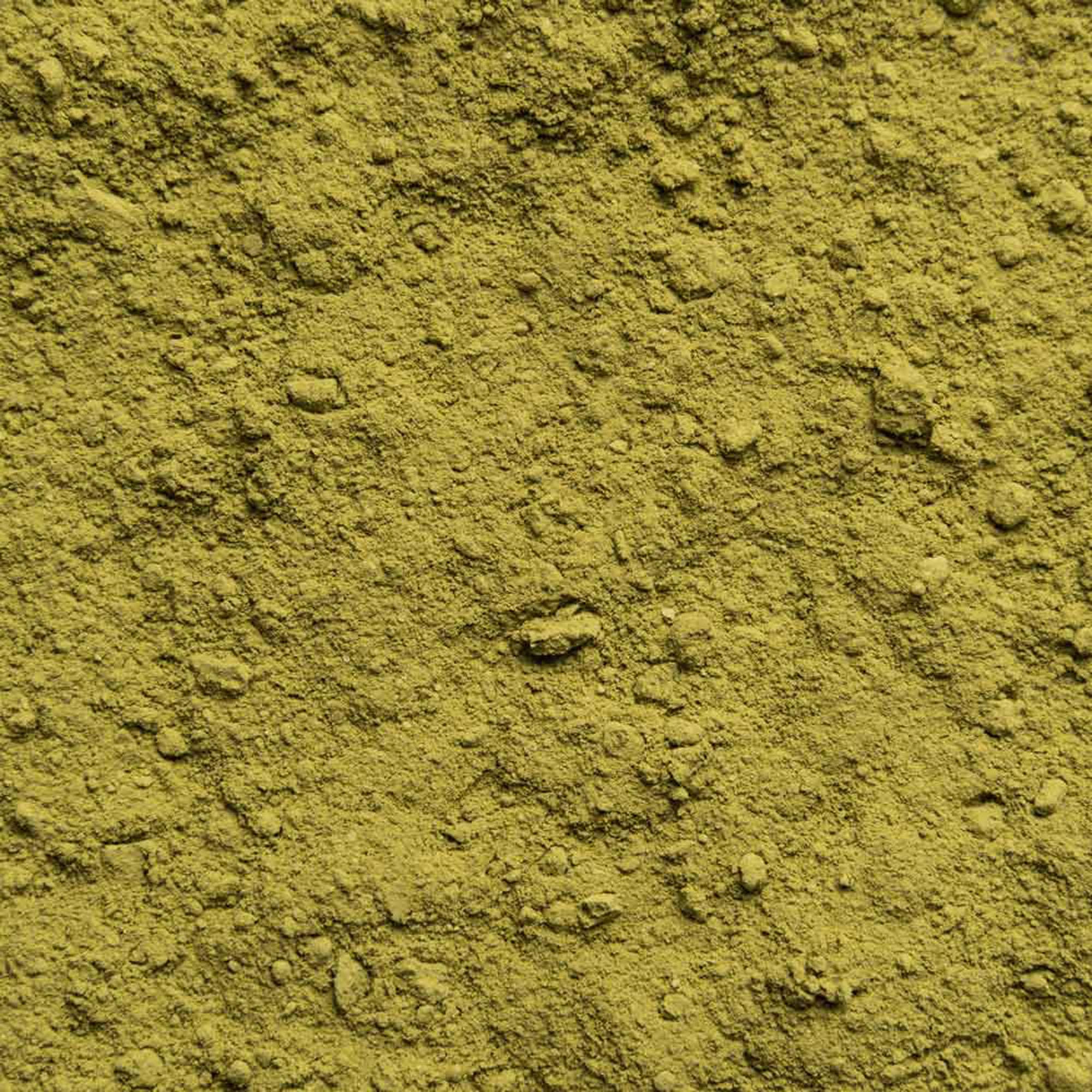 Matcha proszek Bio 1 kg (10 x 100 g) – oryginalny japoński proszek matcha – herbata latte smoothies – najwyższej jakości biomatcha – napełniany i kontrolowany w Niemczech Biotiva