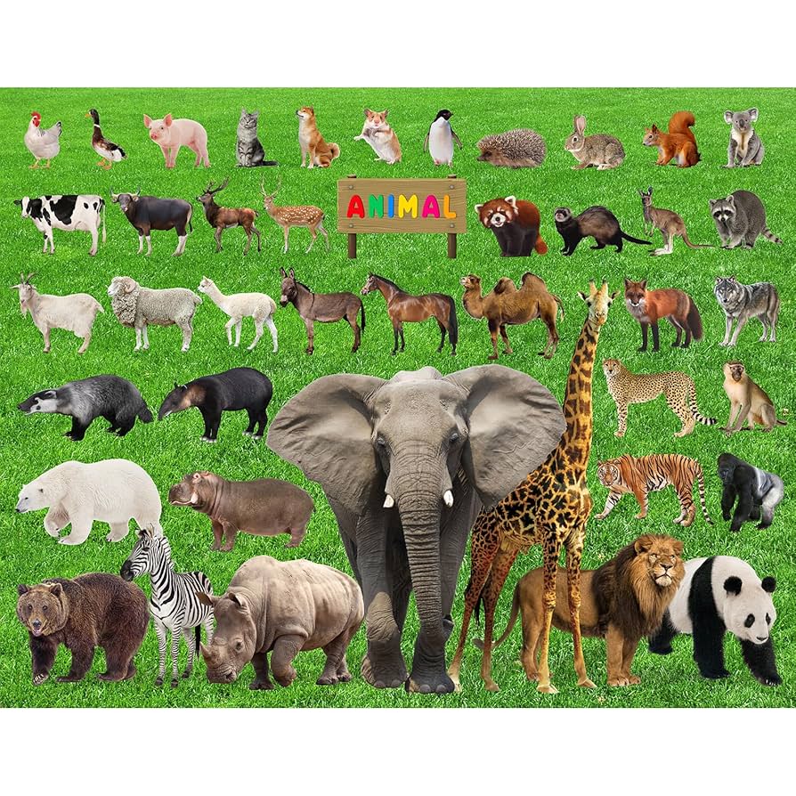 【いるみん】ジグソーパズル 1000ピース 11点おまとめ いるみん】ジグソーパズル 1000ピース 11点おまとめ Amazon