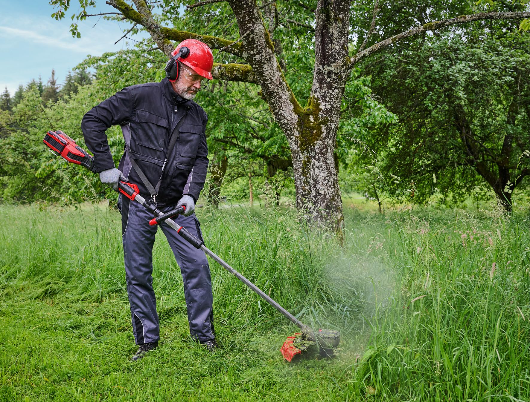 Einhell Professional Decespugliatore GP-BC 36/430 Li P BL - Solo Power X-Change (36 V, Brushless, larghezza taglio 43 cm, maniglia a P, bobina doppia, lama 3 denti, batteria esclusa)