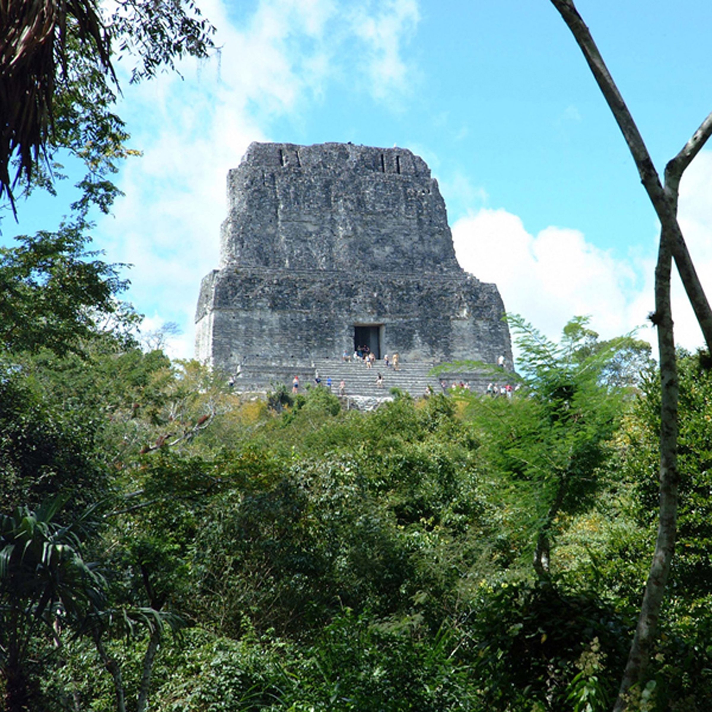 Guatemala's Tikal National Park - Animals and Plants