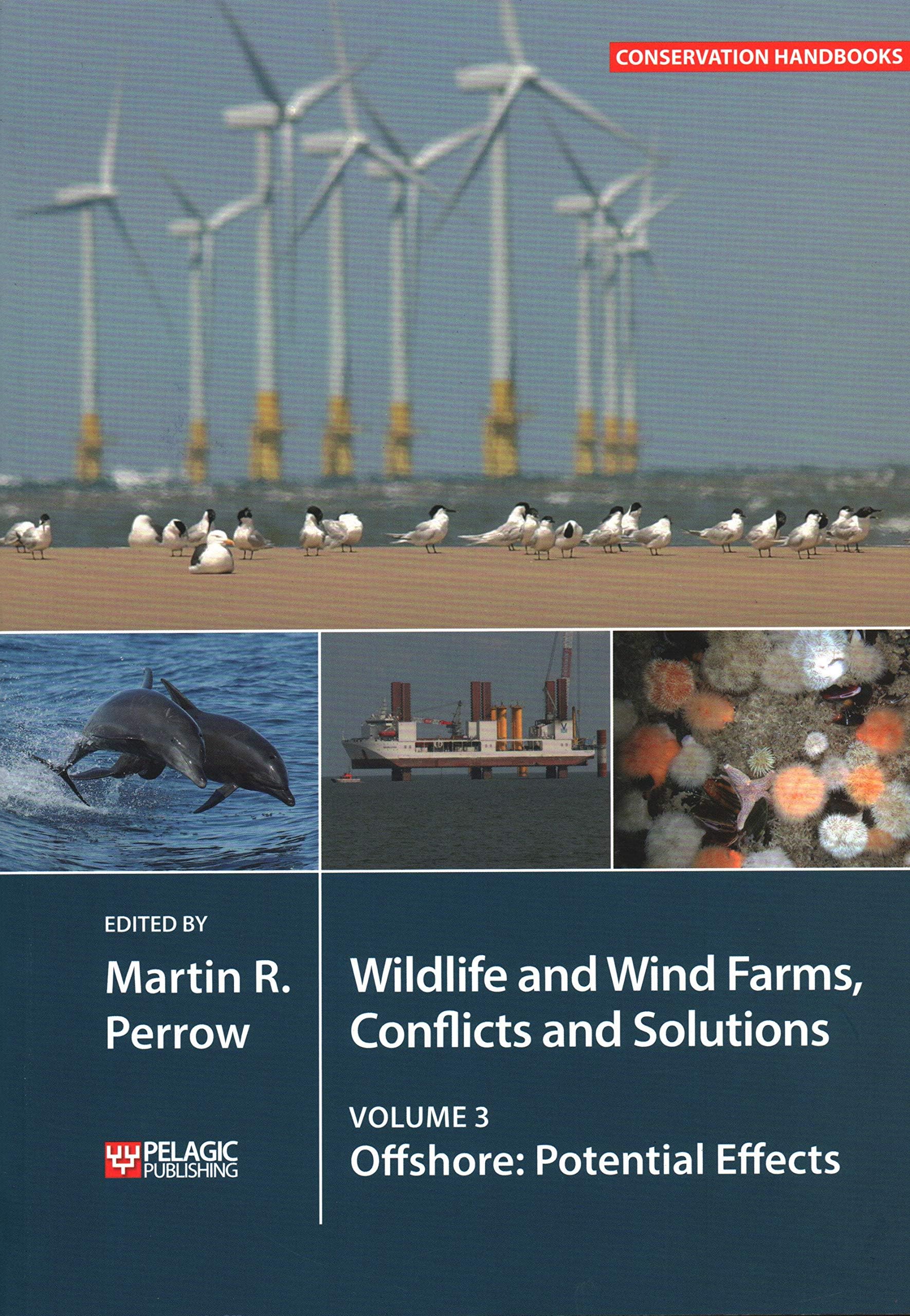 Wildlife and Wind Farms - Conflicts and Solutions: Offshore: Potential Effects