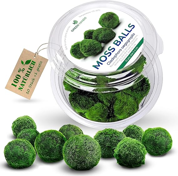Aquarium Transparent mousse boule aménagement pays... – Grandado