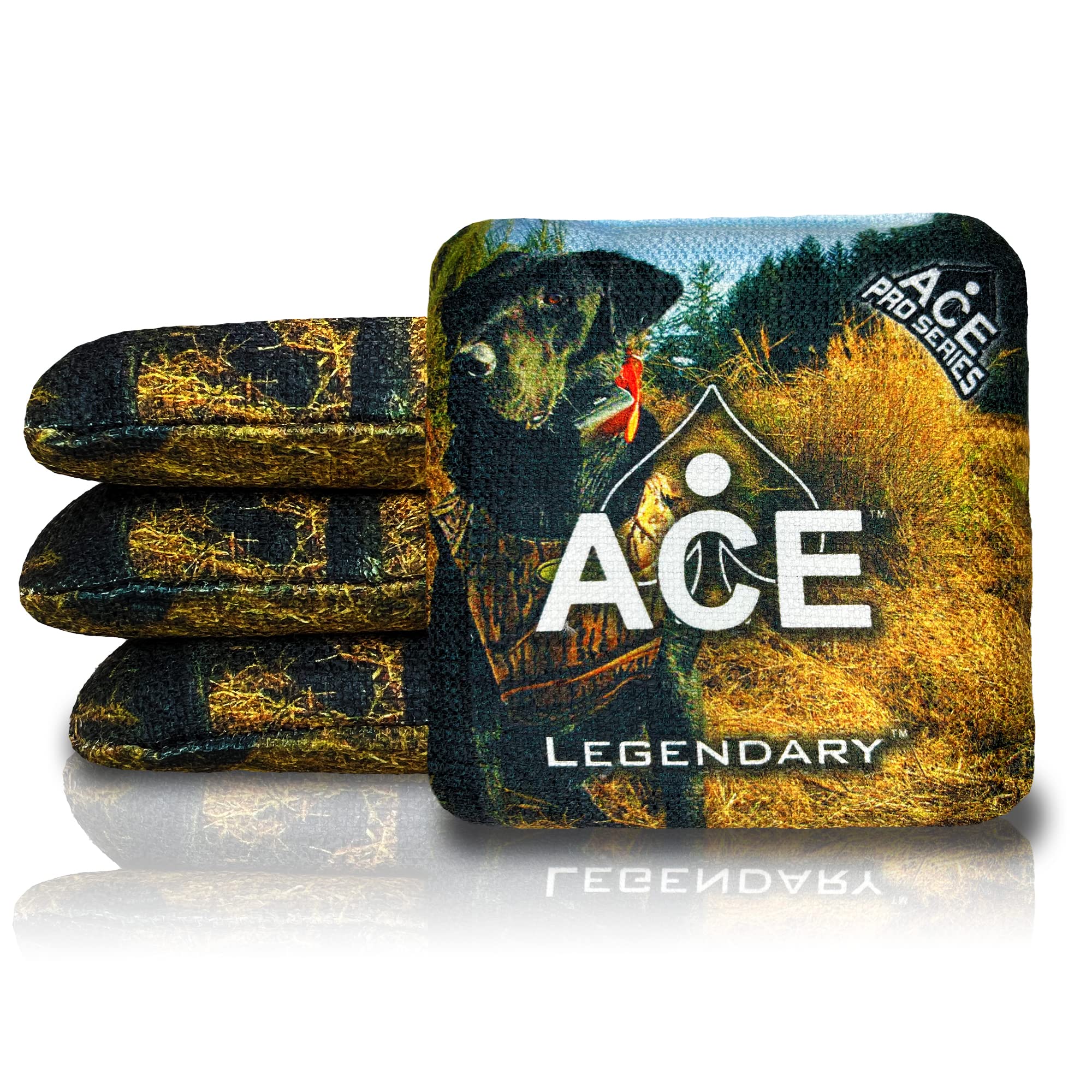 Legendary | ACE Pro Cornhole Bags + PRO Kits | Dual Sided Slick Stick All Weather | Optional Bag Break in and Carrying Case | Set of 4