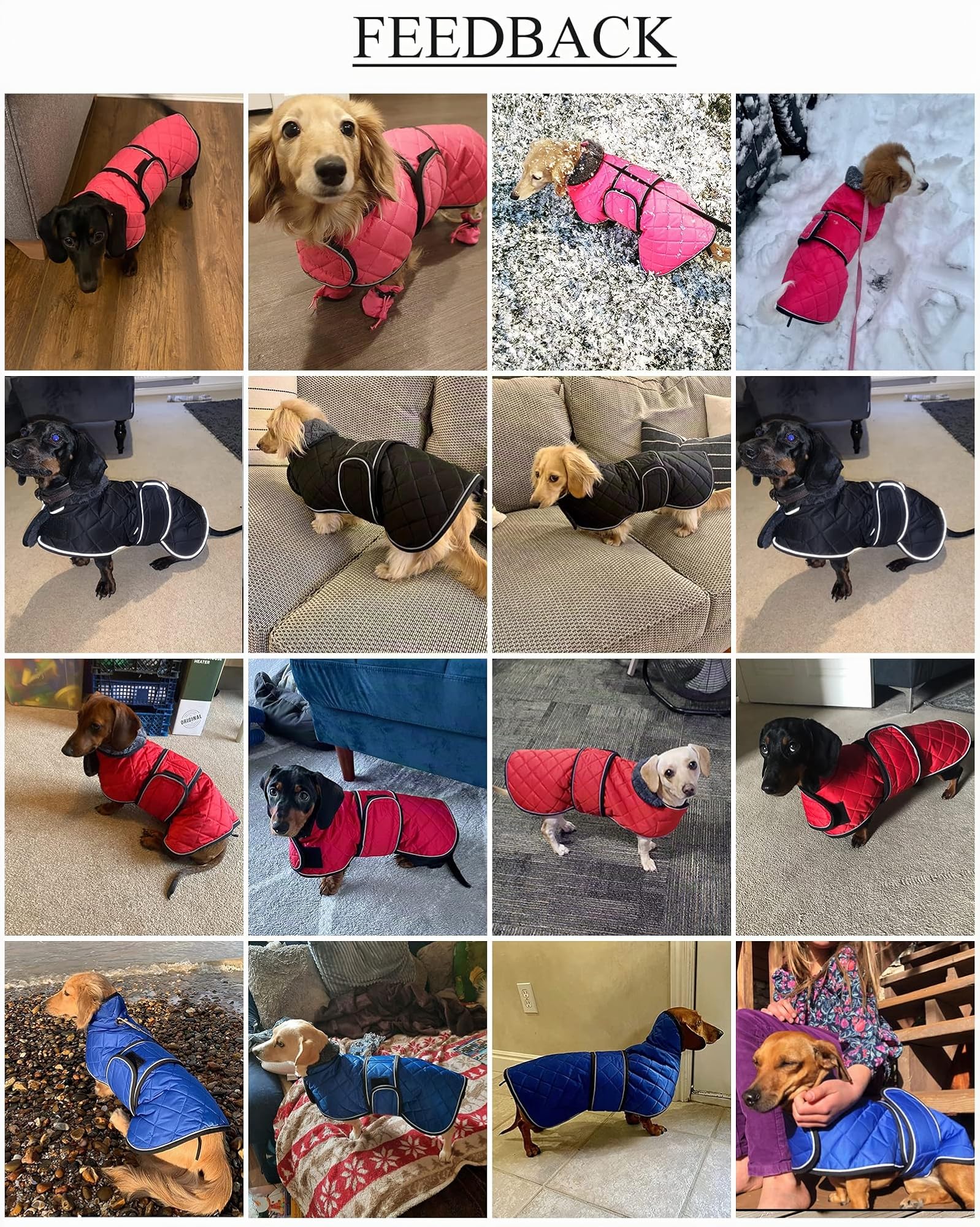 Geyecete - Warmer wintermantel für dackel Hunde,Hunde Winterjacken mit plüschfutter,Outdoor jacken mit verstellbaren gürtel und Kabelbaumloch,für mittelgroße und Kleiner dackel-Schwarz-M
