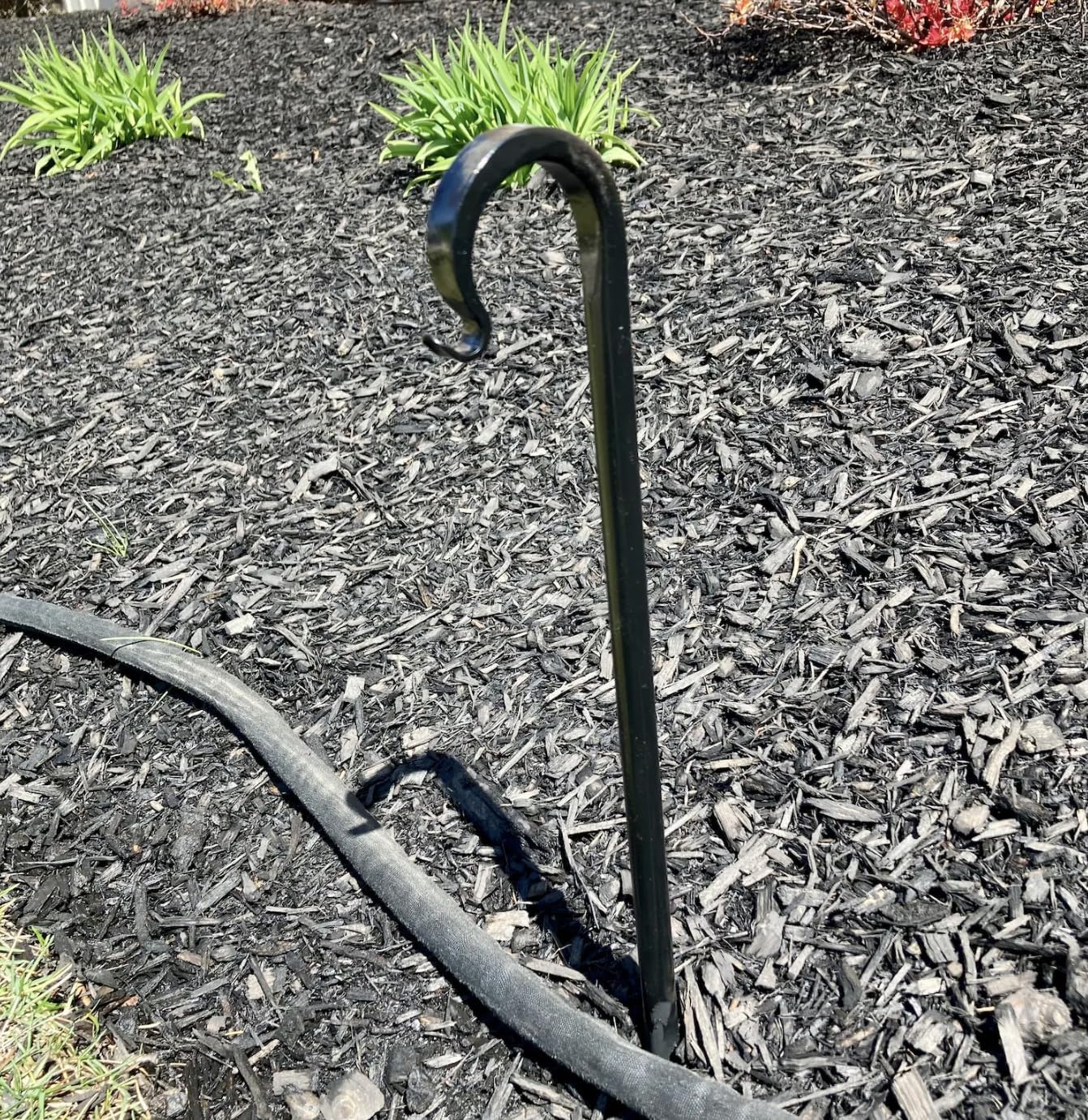 Heavy-Duty Wrought Iron Garden Hose Guides | Hand-Forged Stakes | Powder Coated Plant Protectors (Pack of 4)