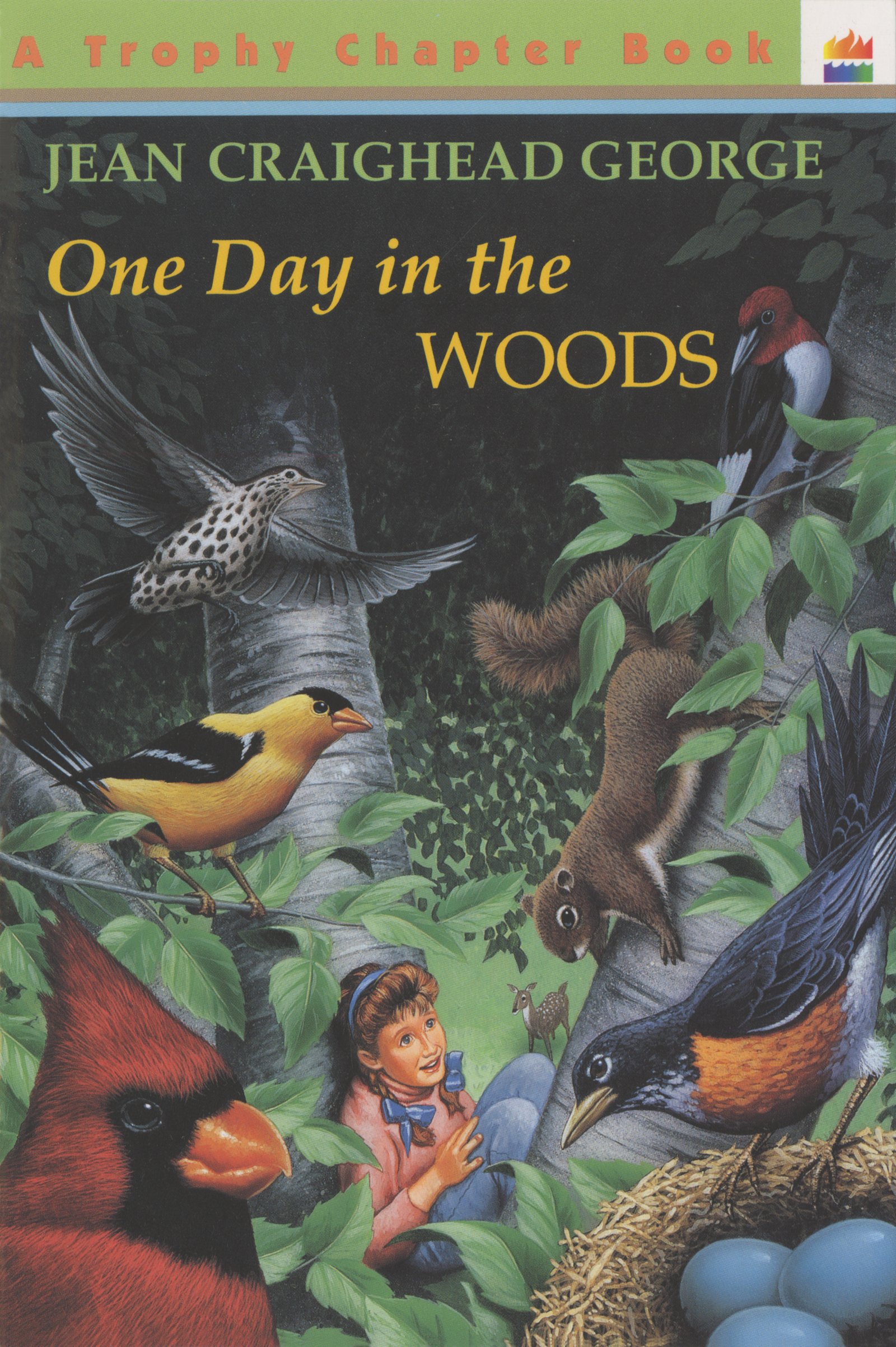 One Day in the Woods Paperback – September 29, 1995