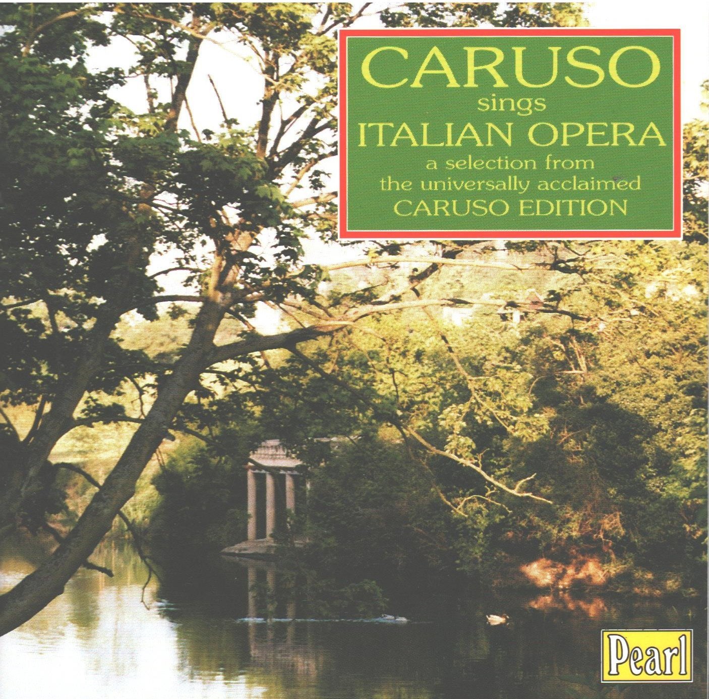 Donizetti Boito Ponchielli Leoncavallo Mascagni Cilea Giordano Puccini Gomes Flotow H [Audio CD] VARIOUS ARTISTS