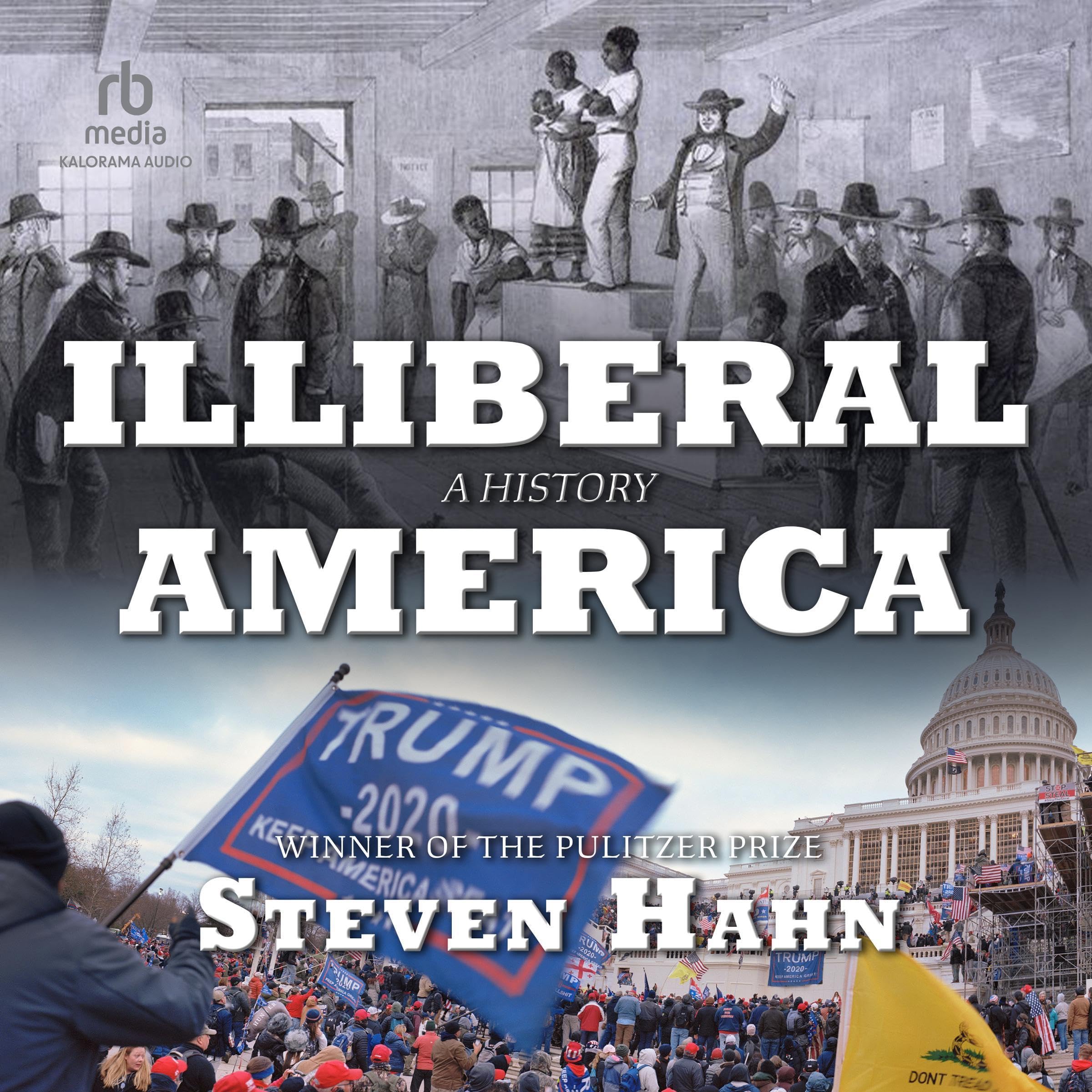 Cover art for Illiberal America