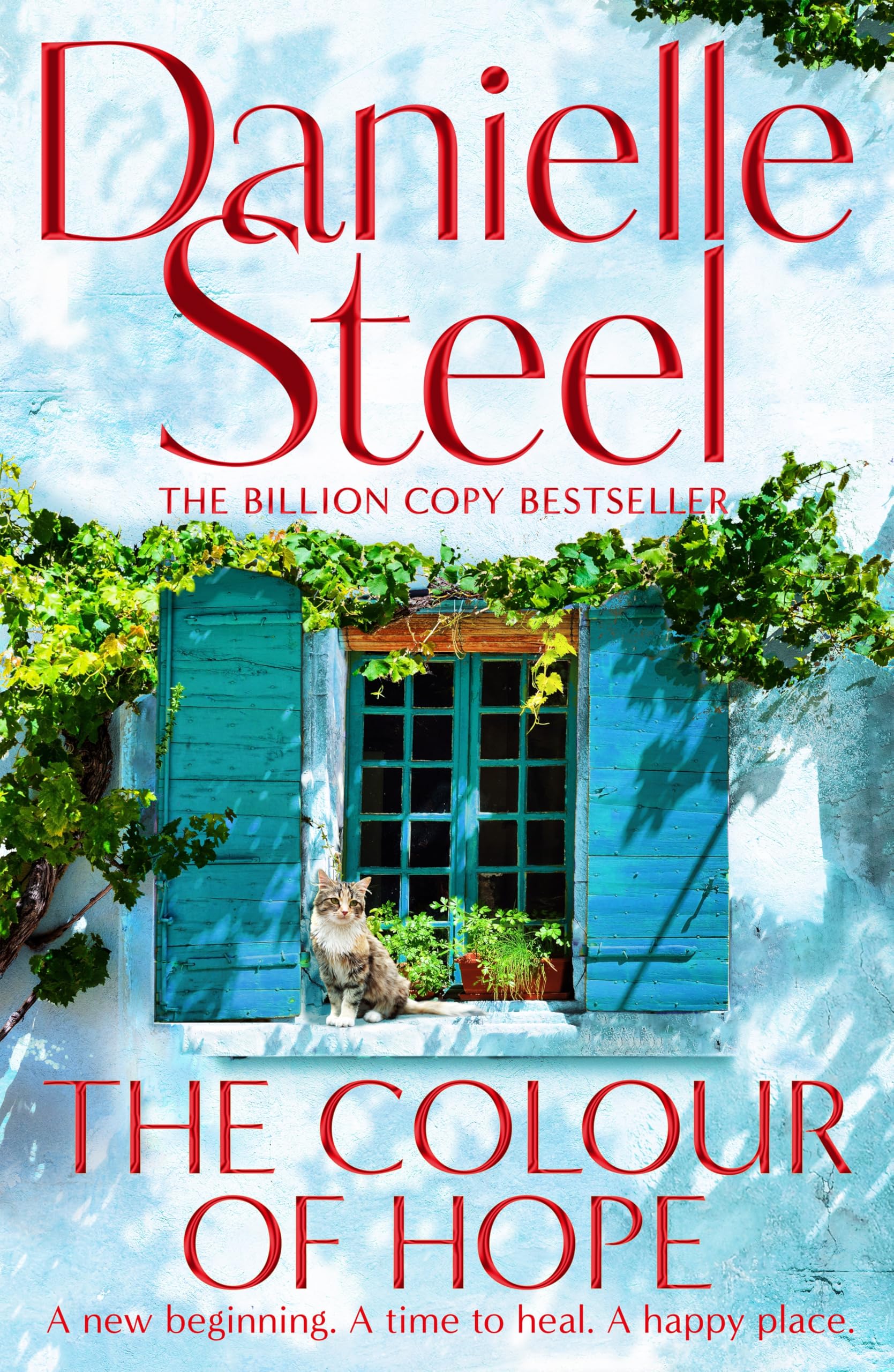 The Colour of Hope: An uplifting story about how love provides the foundation for courage and purpose