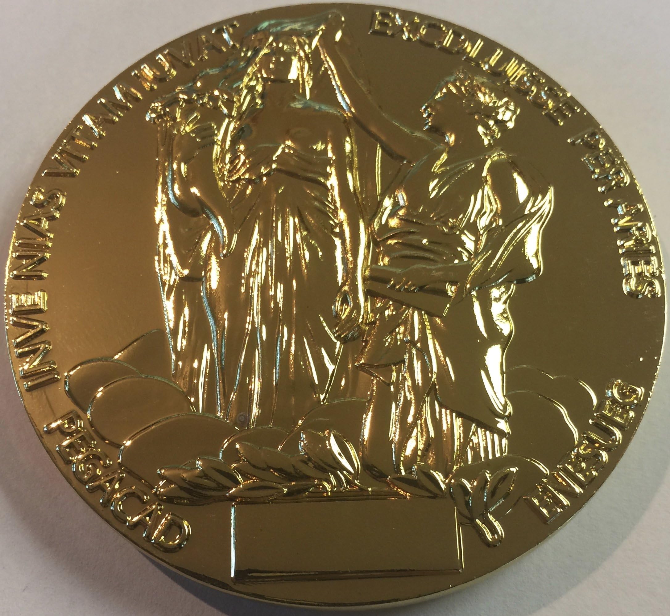 The Nobel Prize Souvenir Medal in Physics or Chemistry RARE USA Sweden