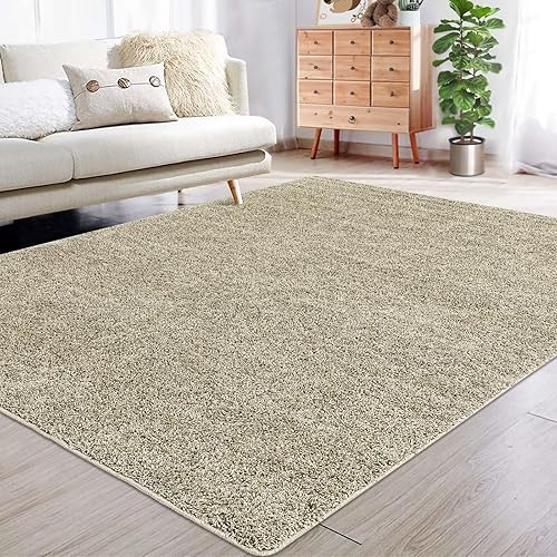 COZYLOOM Alfombra moderna de felpa de 4 x 6 pies, alfombra acogedora de lujo, ultra suave, para interiores, para sala de estar, antideslizante,
