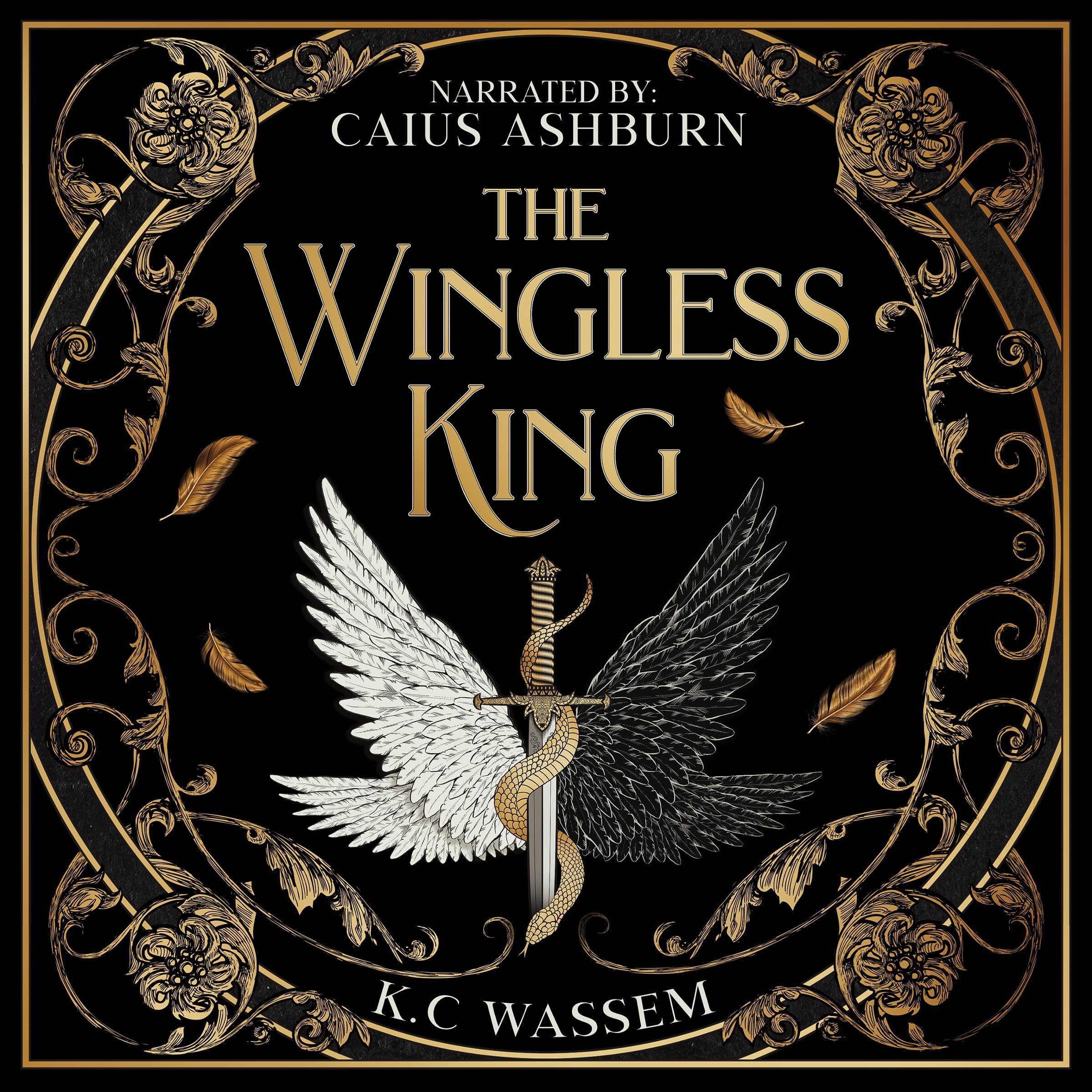 Cover art for The Wingless King