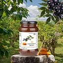 INDIGENOUS HONEY Jamun Honey Pure 530g Glass Jar gallery image