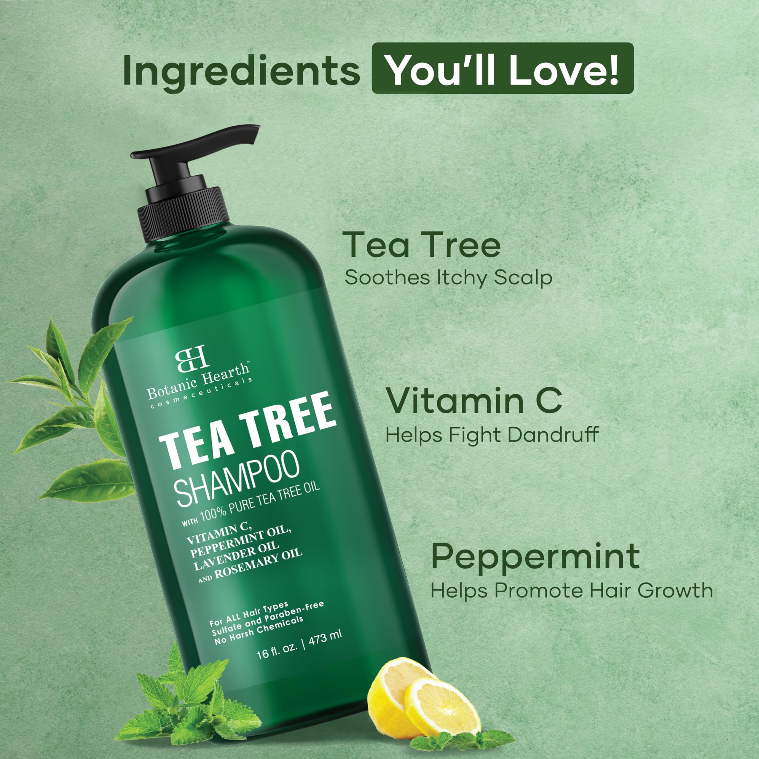 Botanic Hearth Tea Tree Shampoo, Vitamin C, Peppermint, Lavender and Rosemary Oil, Fights Dandruff and Dry Scalp, 16 fl oz (473 ml) - Image 3