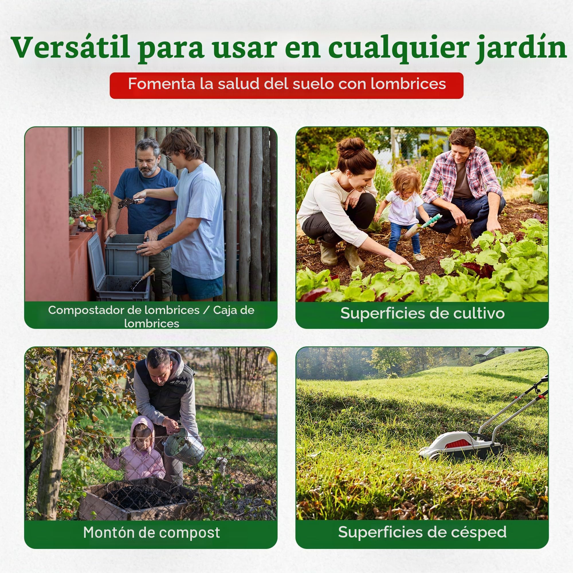 0,5 kg de gusanos compostables (aprox. 500 unidades)