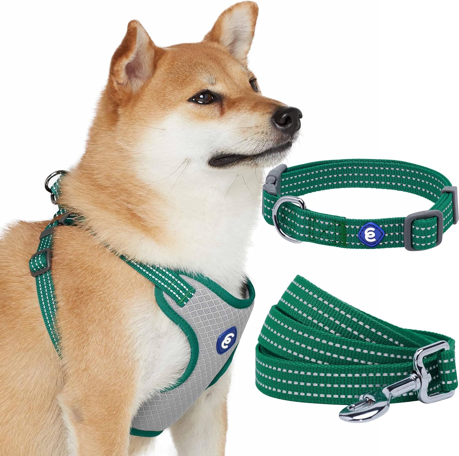 Blueberry Pet Essentials Reflective Better Basics Matching
