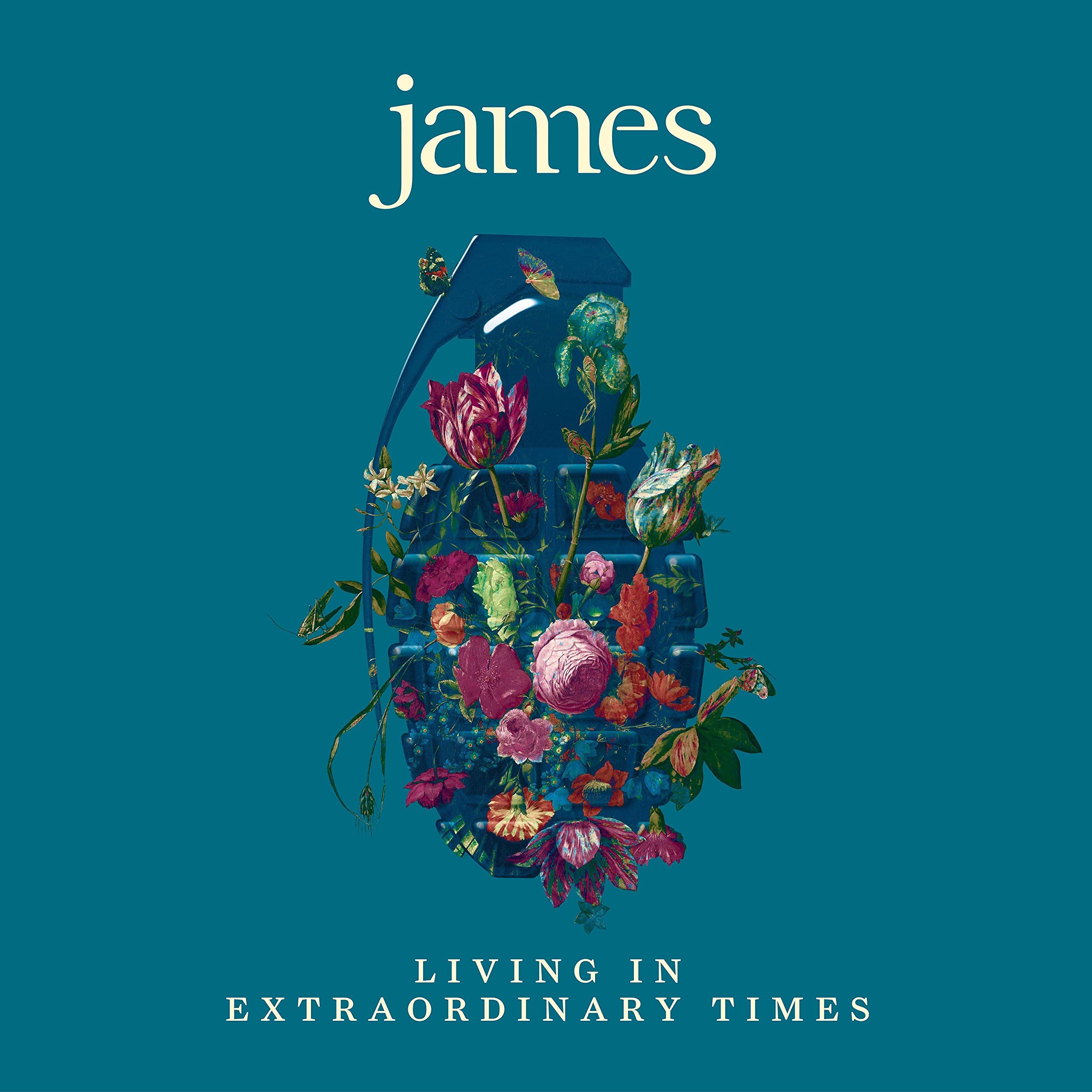 Living In Extraordinary Times [2 LP]