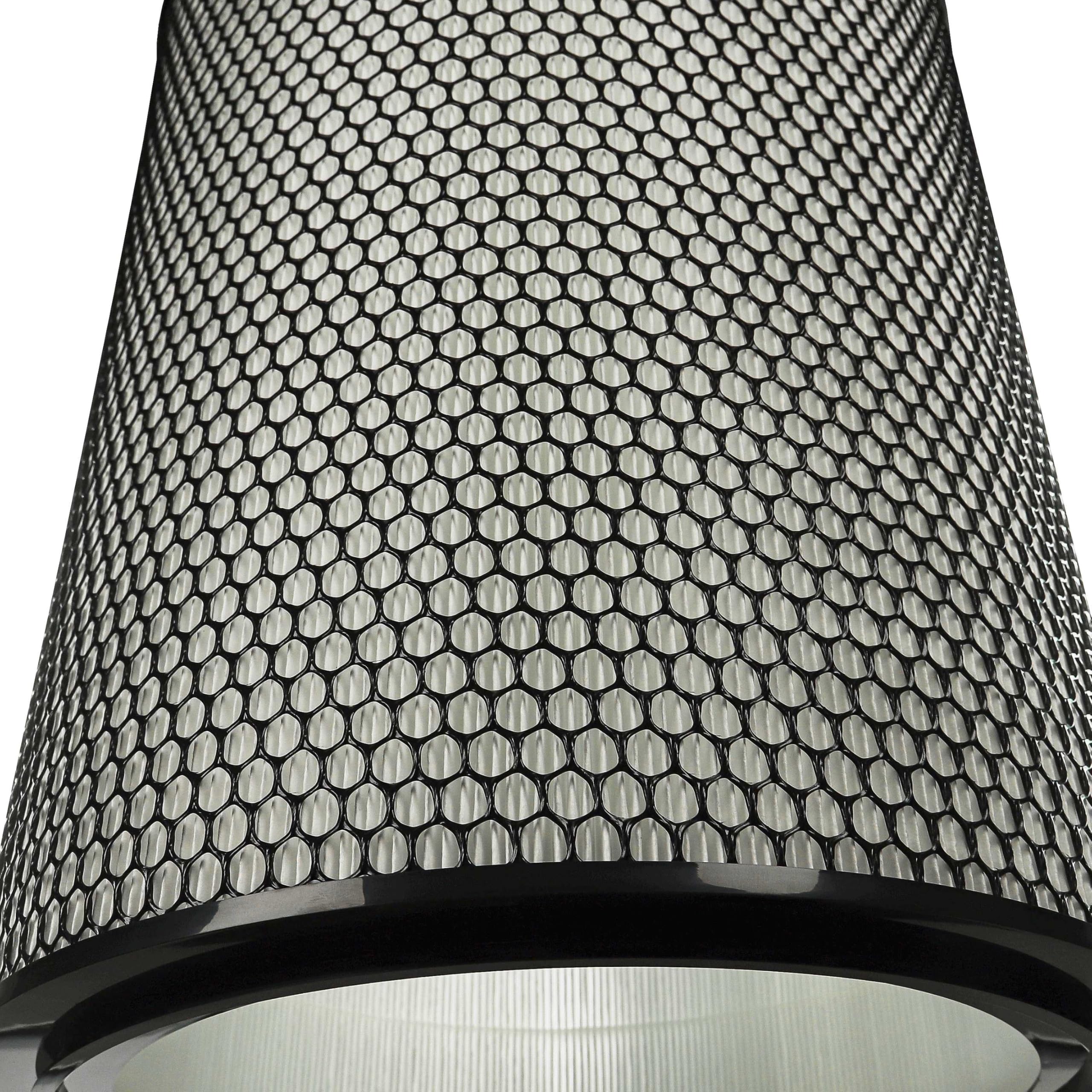 vhbw Filtro H13 compatible con Dyson HEPA Big+Quiet Formaldehyde BP06