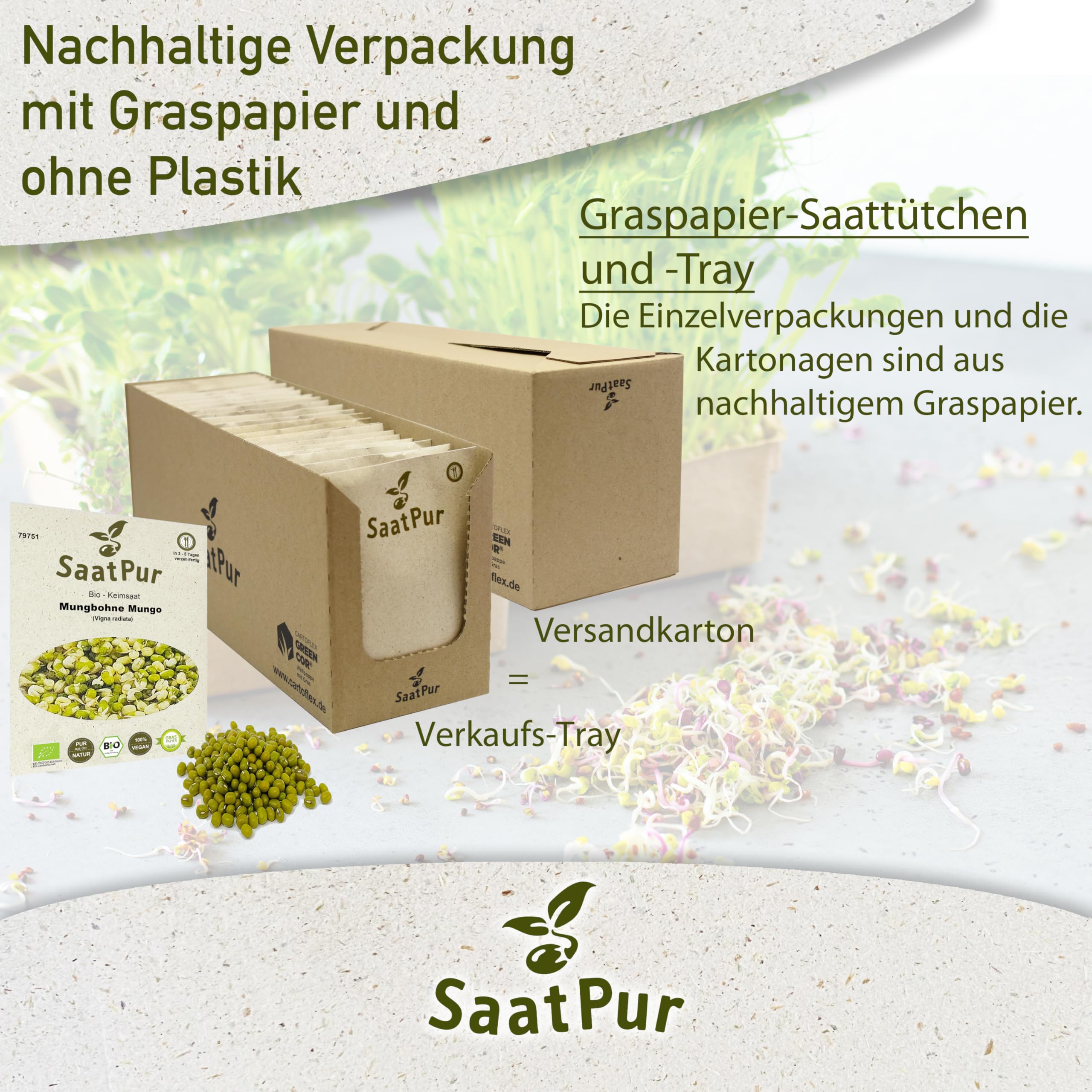 Mungbohnen BIO Keimsprossen SaatPur - Mungo Sprossen Keimsaat, Microgreen - Großes Tray mit 40 Portionstüten je 75g