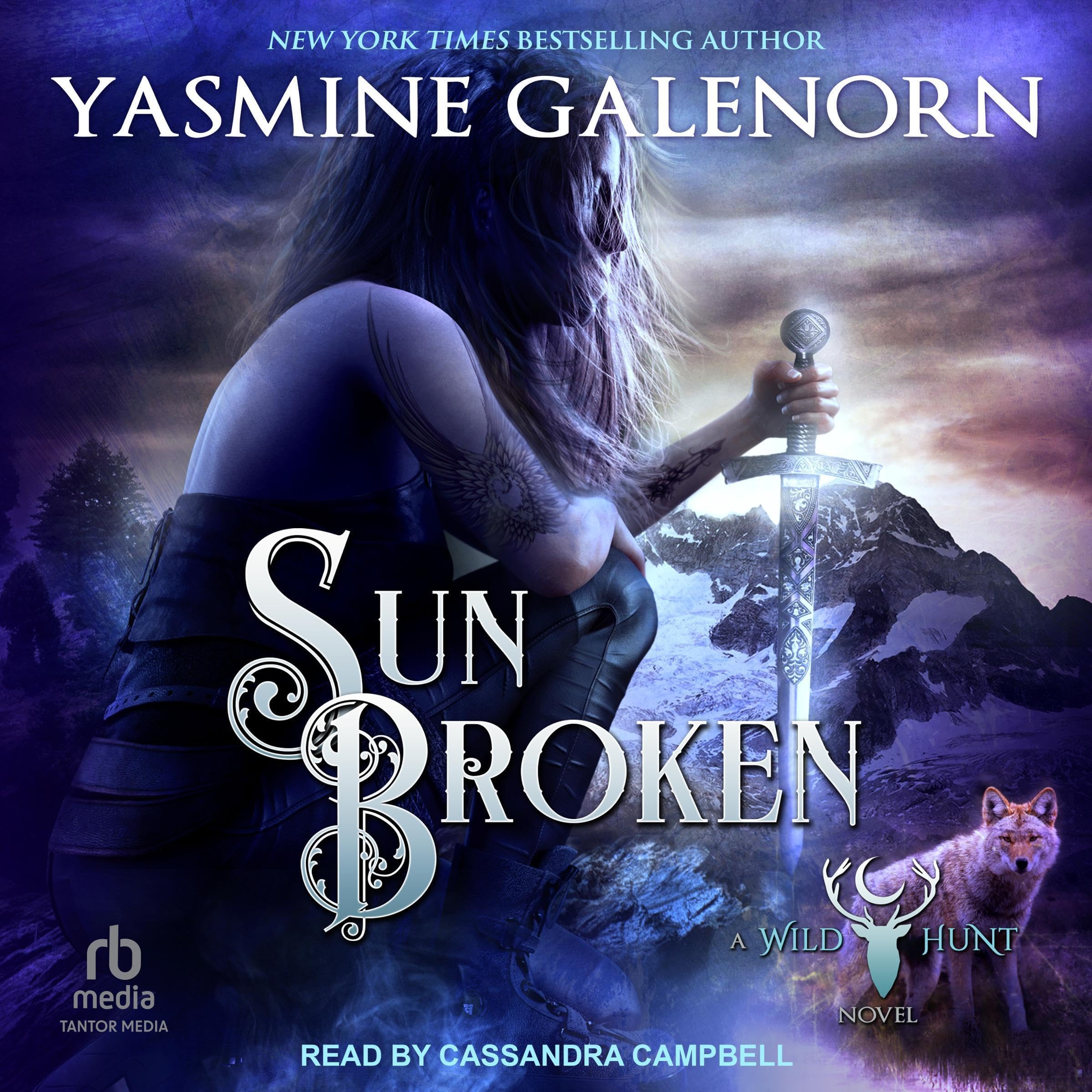 Cover art for Sun Broken