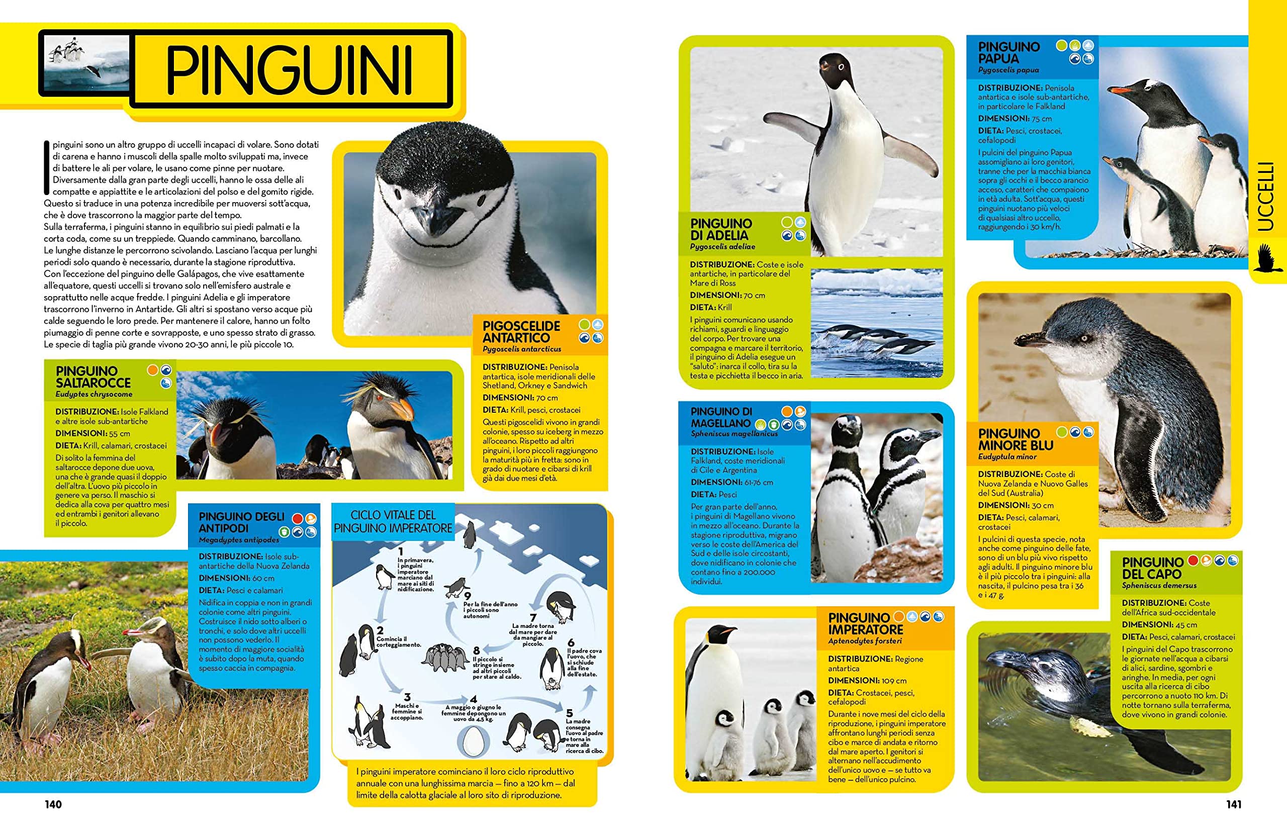 NATIONAL GEOGRAPHIC KIDS - La Grande Enciclopedia Degli Animali | Guida Illustrata per Bambini | Educazione e Divertimento | Scoperta della Fauna
